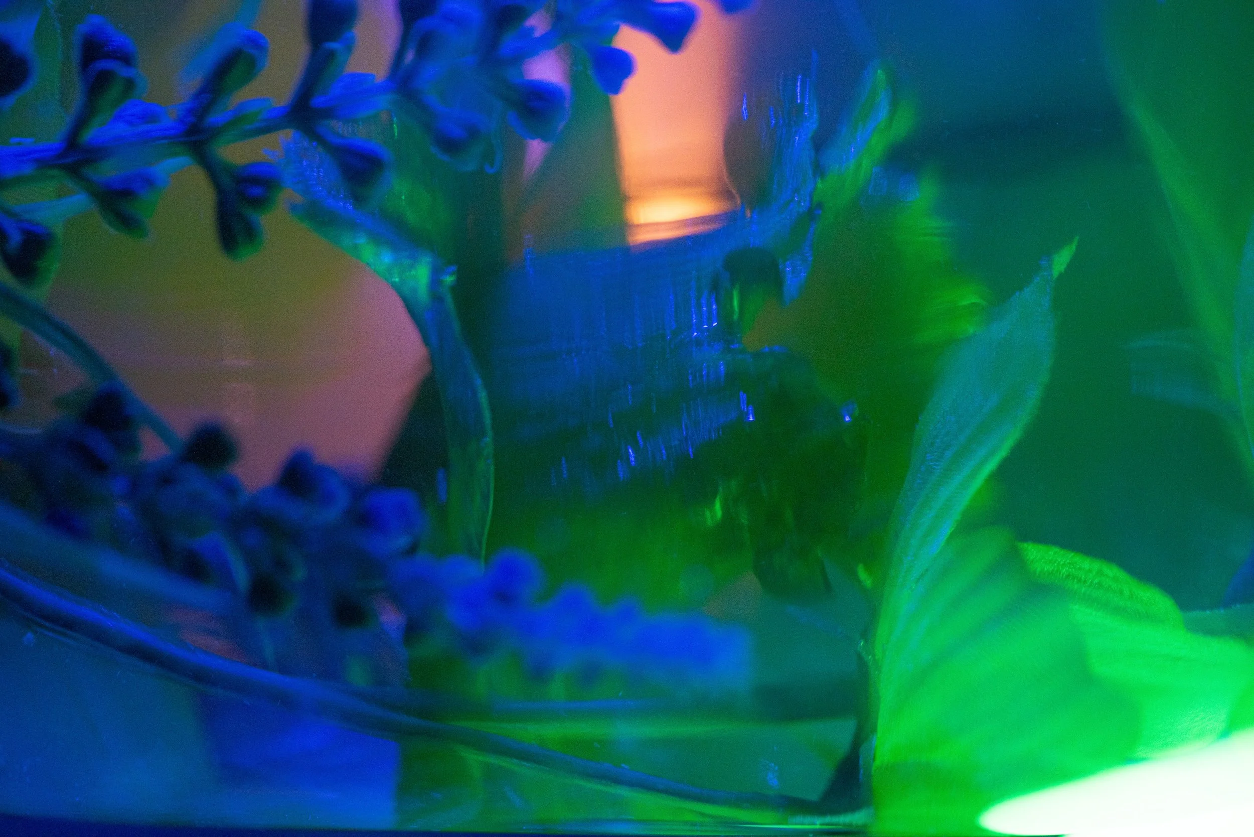 Close-up of purple lavender flowers and green leaves in a glass jar with colorful lighting.