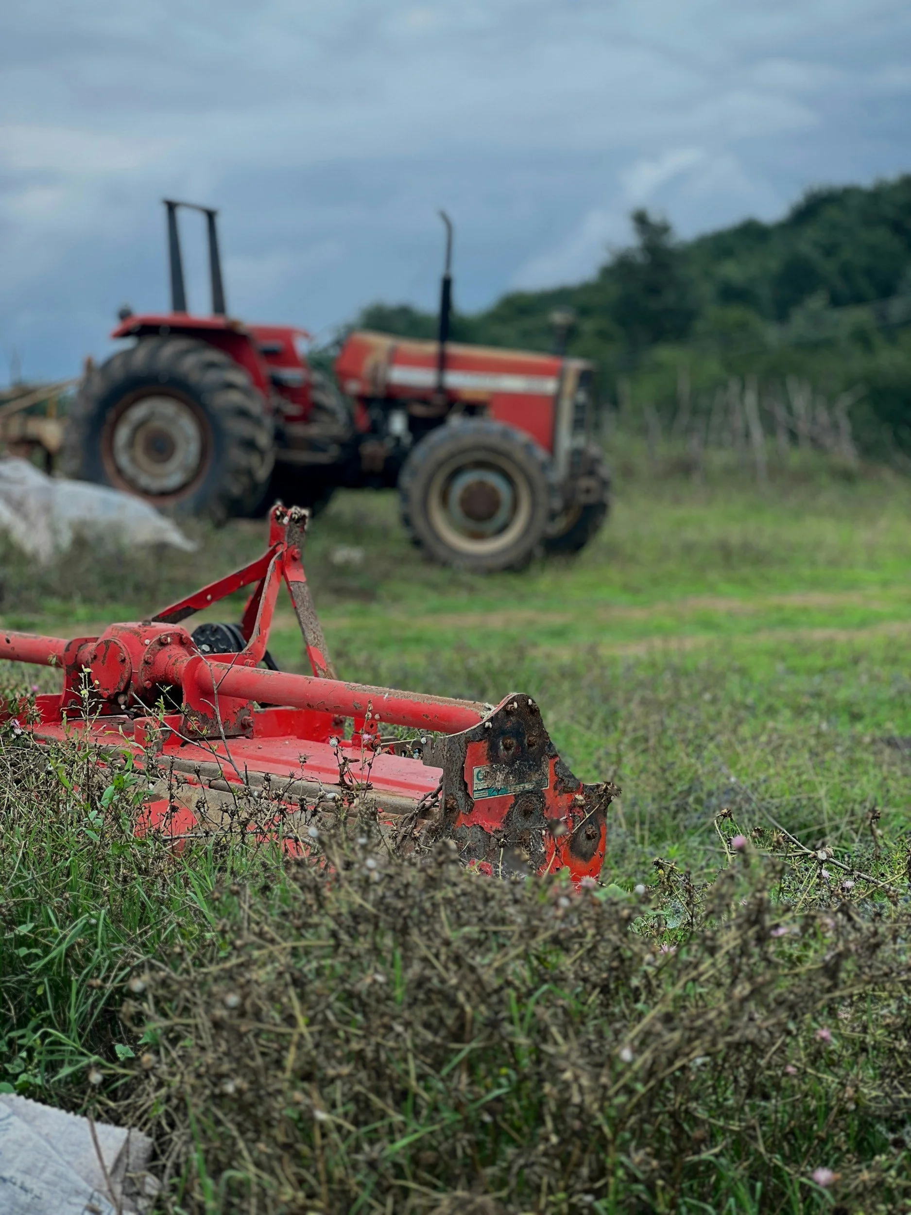 Choosing the Right Mulcher