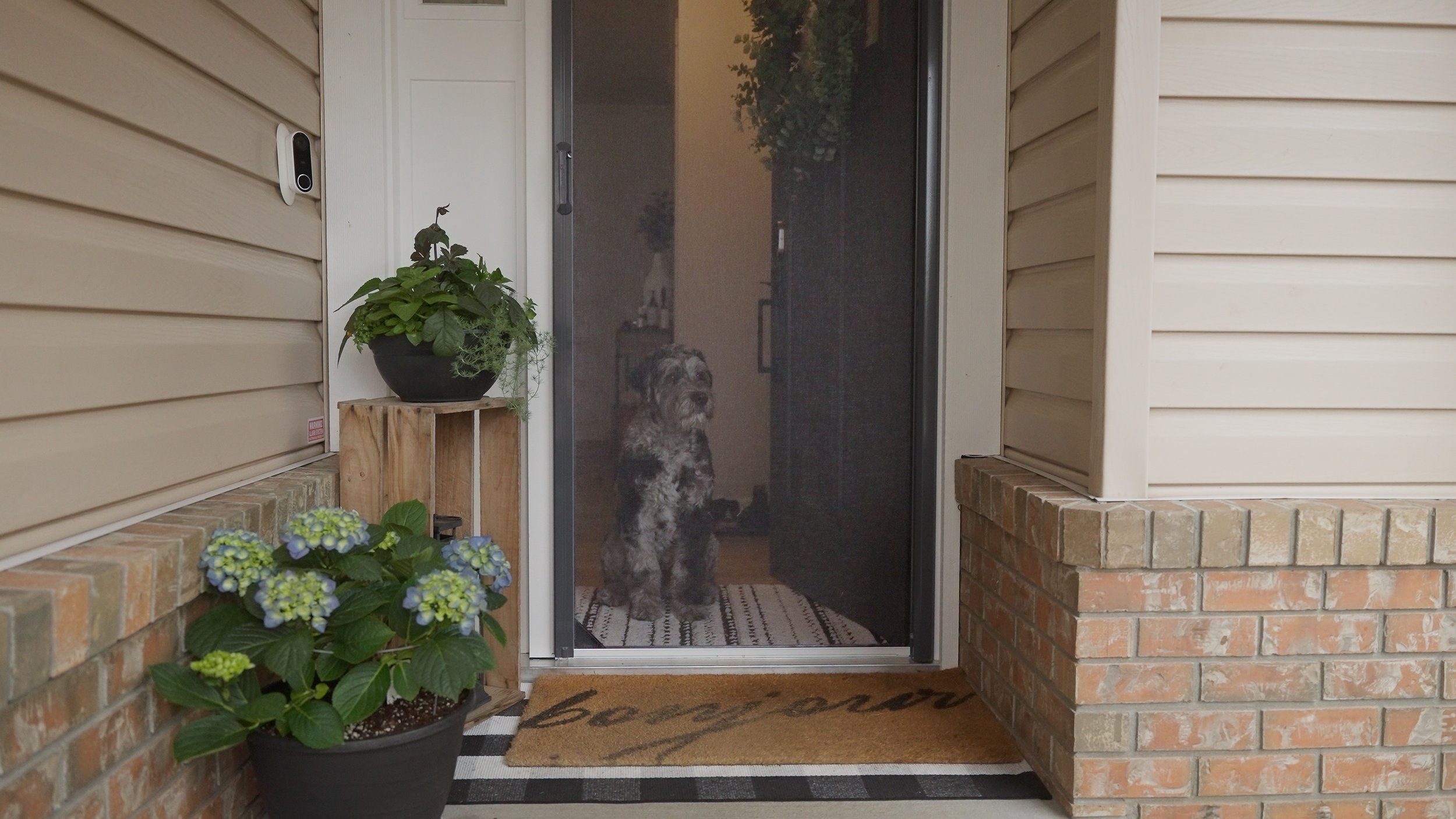 Dog sitting at retractable screened door