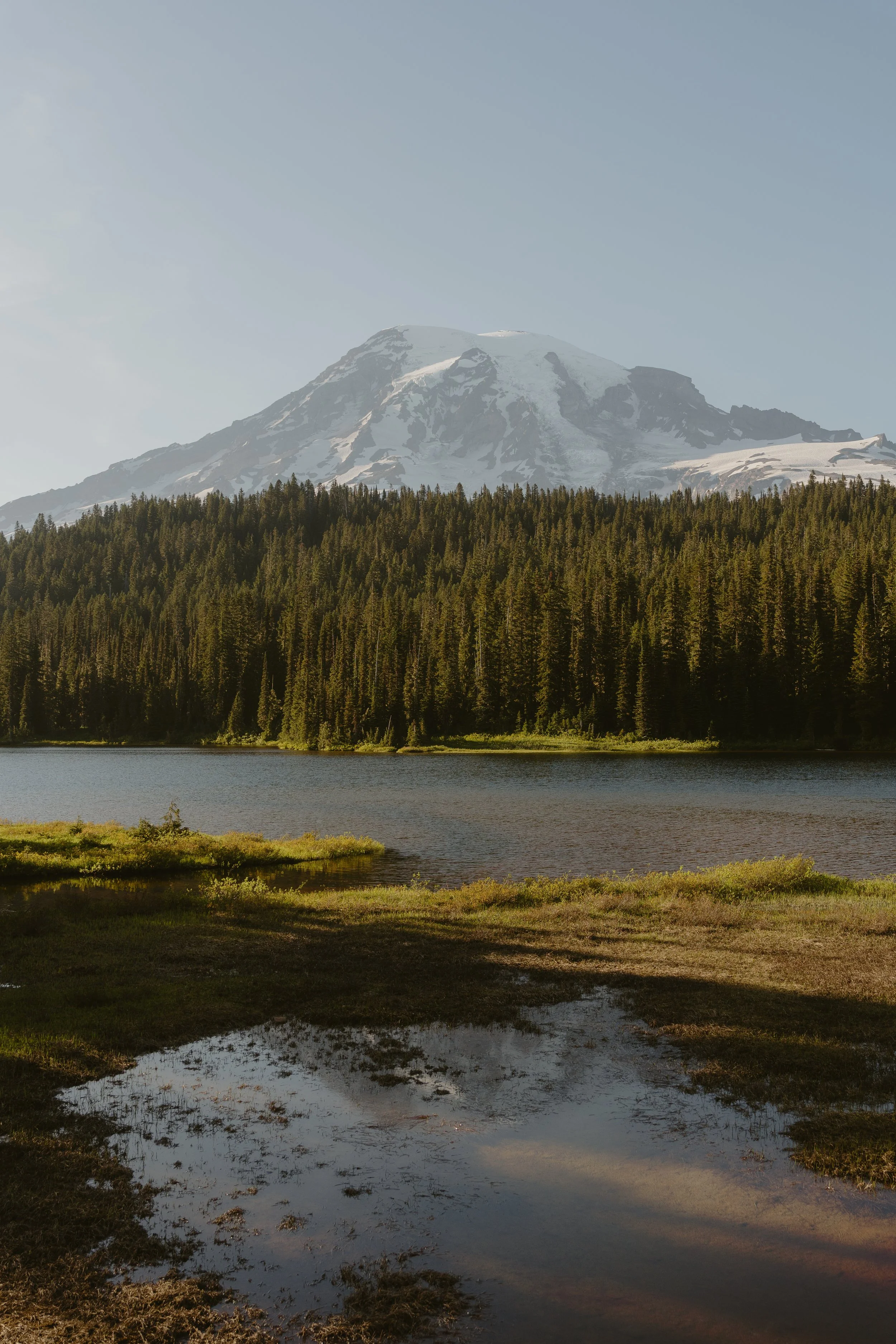 Snow-capped mountain behind a forest with a lake and grassy area in the foreground.