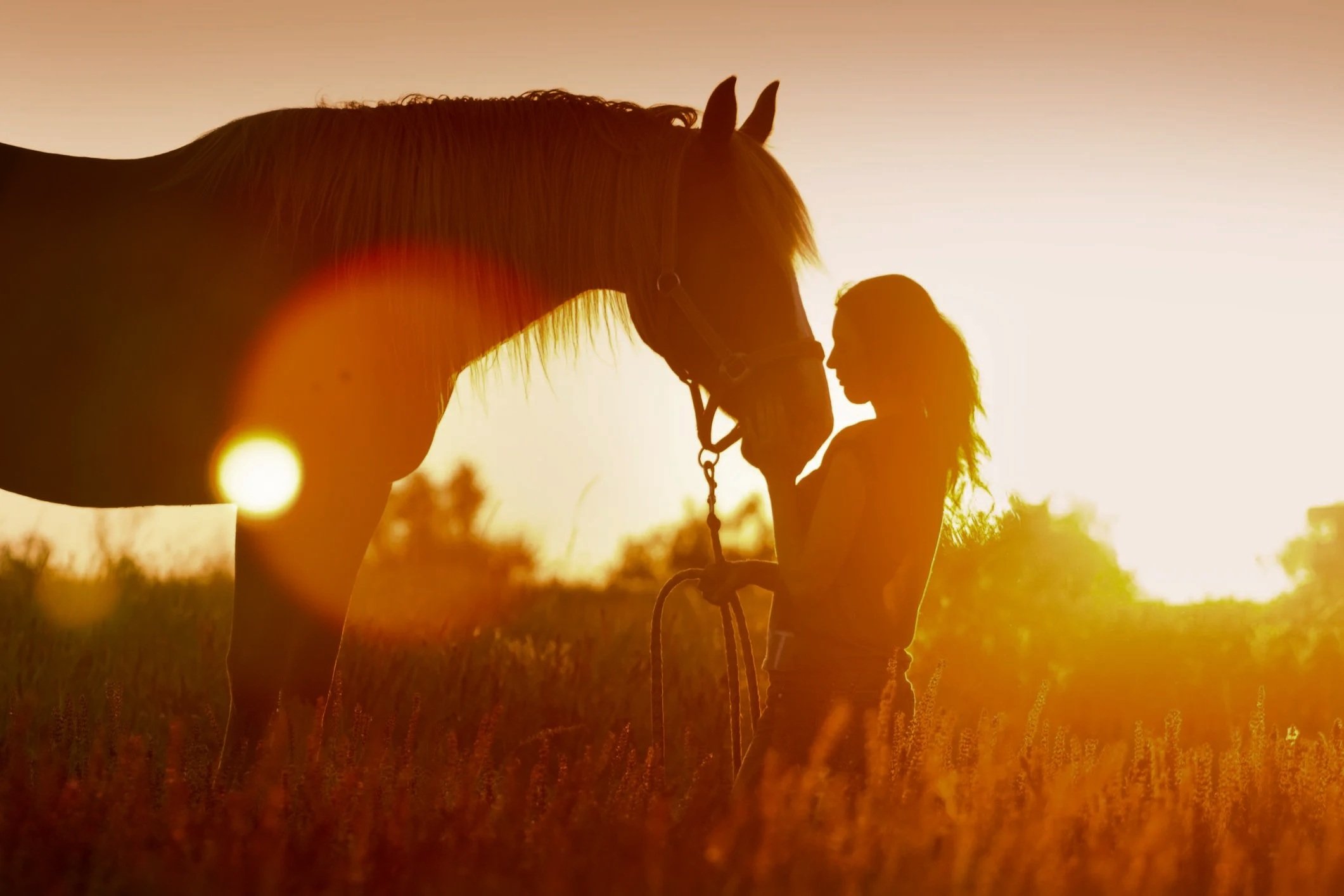 Coaching + Mentoring