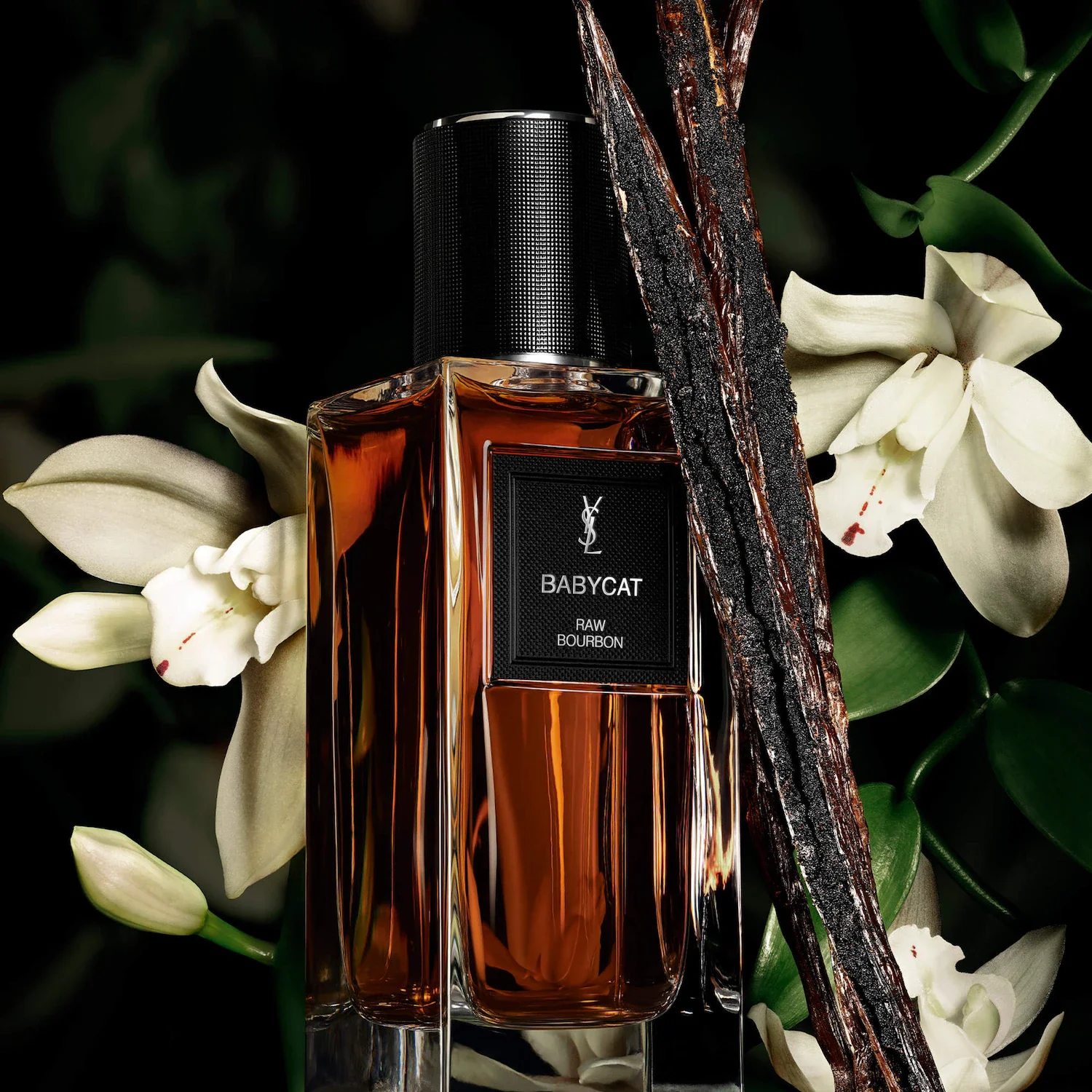 YSL Babycat Raw Bourbon