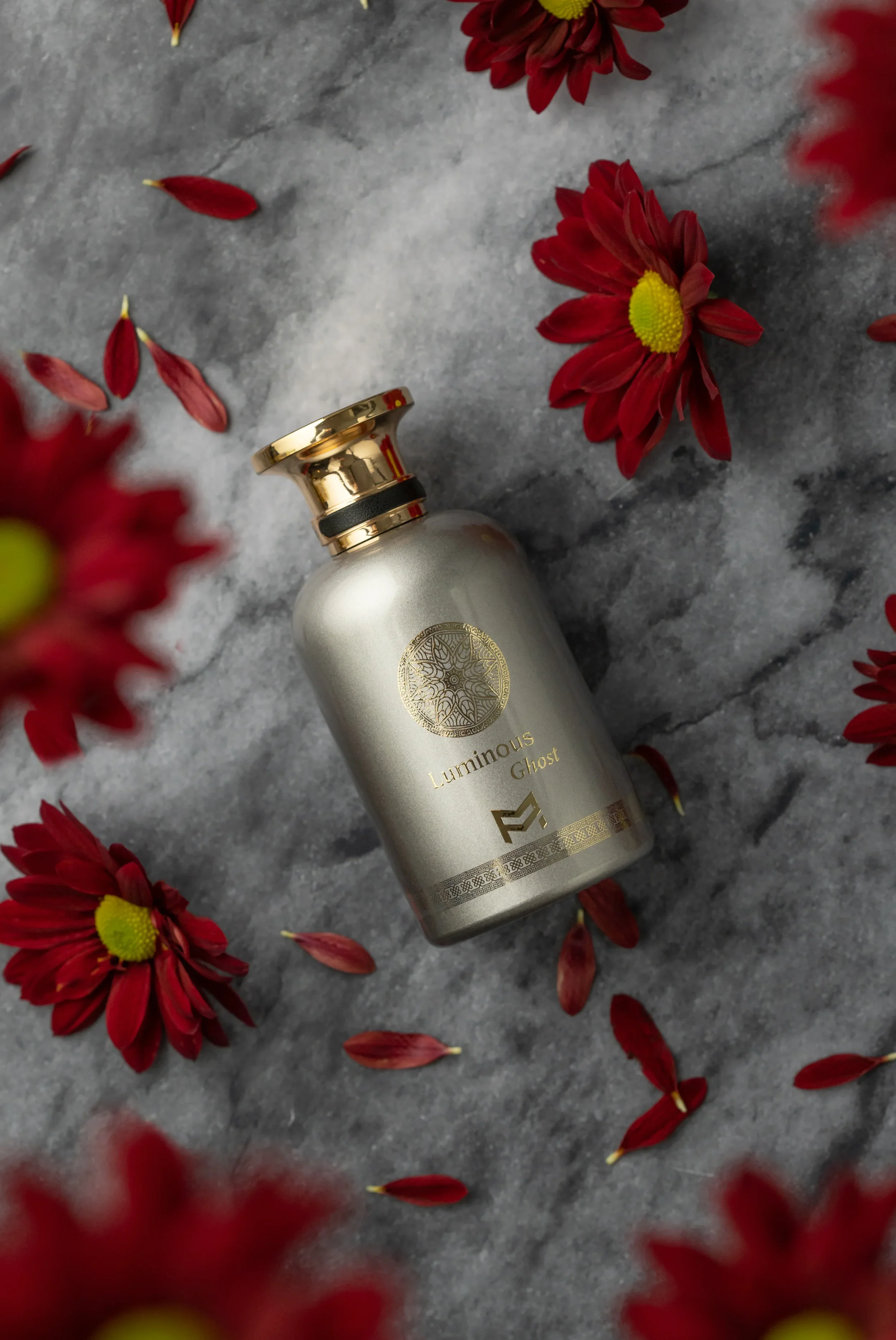 Luminous Ghost EDP