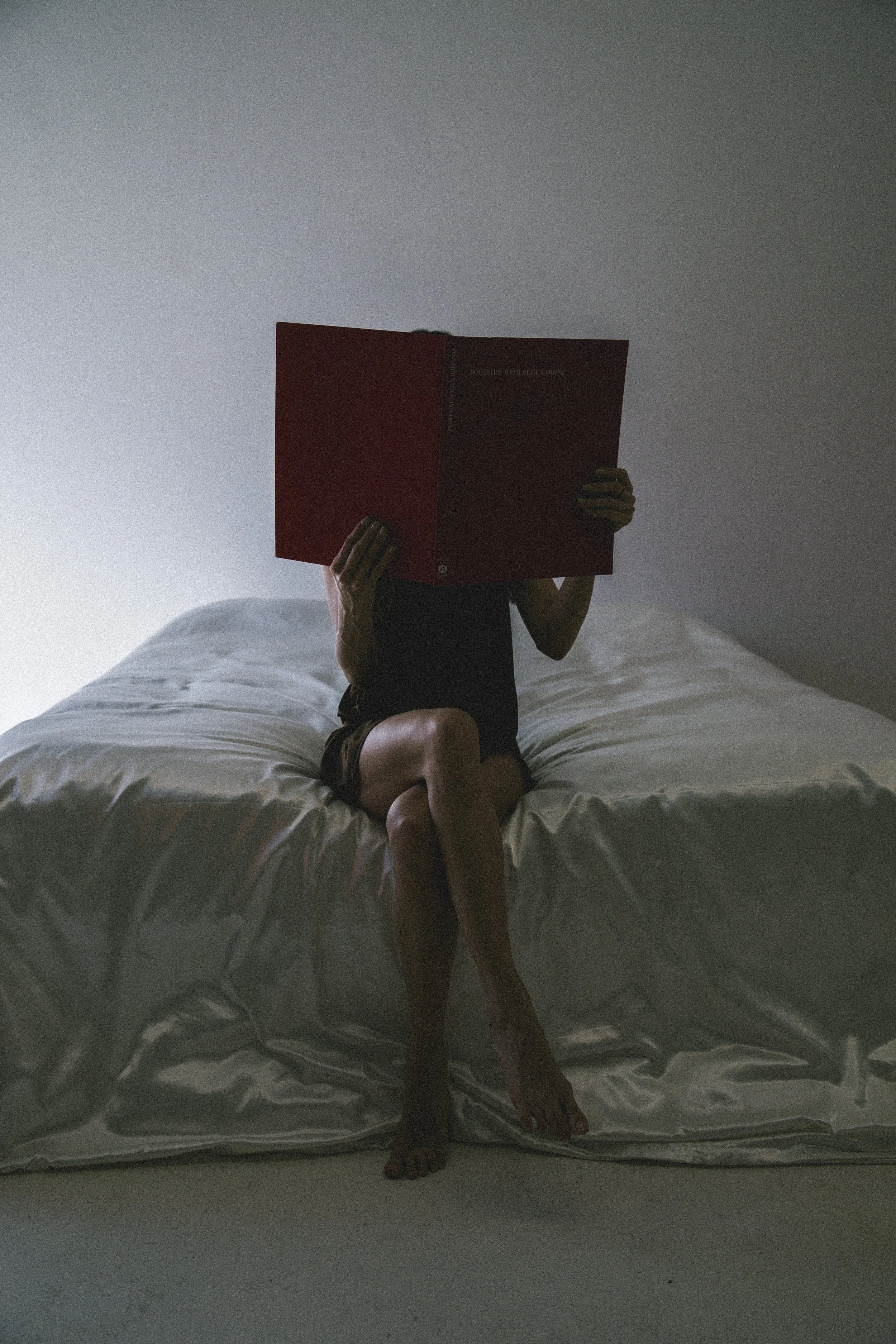 THE SUBCONSCIOUS PRICE TAG: HOW YOUR HIDDEN BELIEFS DECIDE YOUR NET WORTH