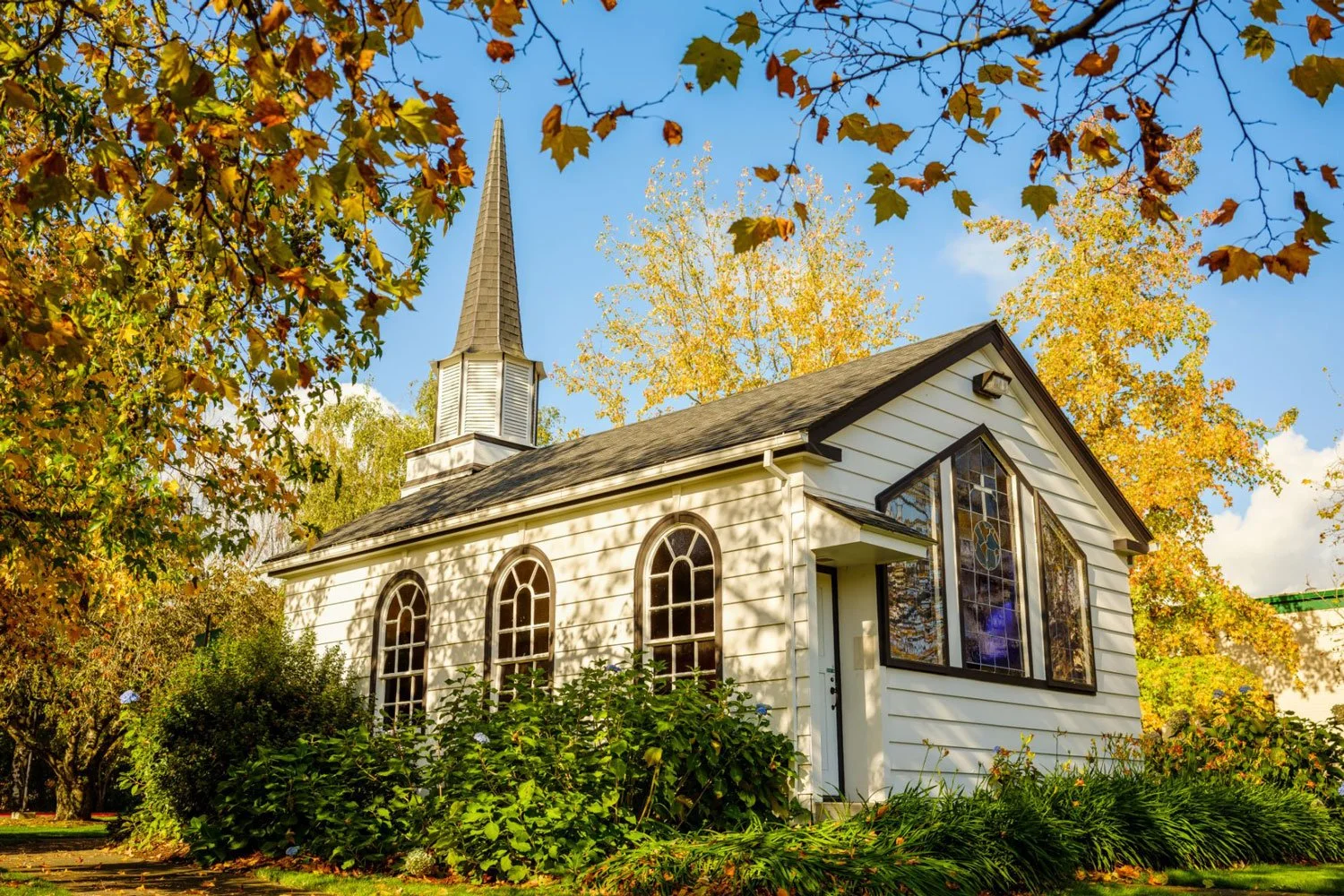 RNS - Multnomah gave up its campus in a failed takeover. Alums want it back.