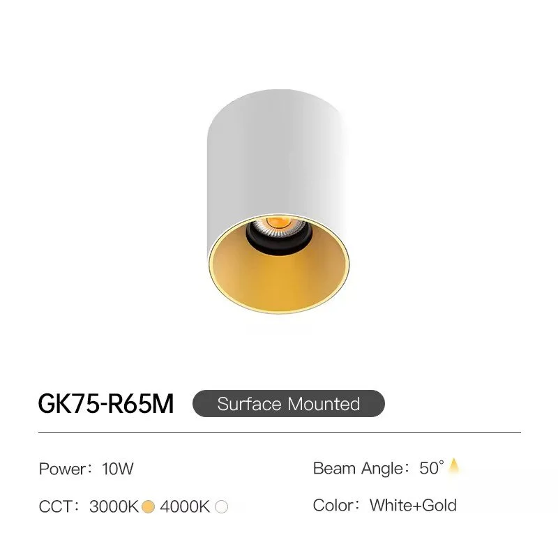 CEILING SURFACE DOWNLIGHT