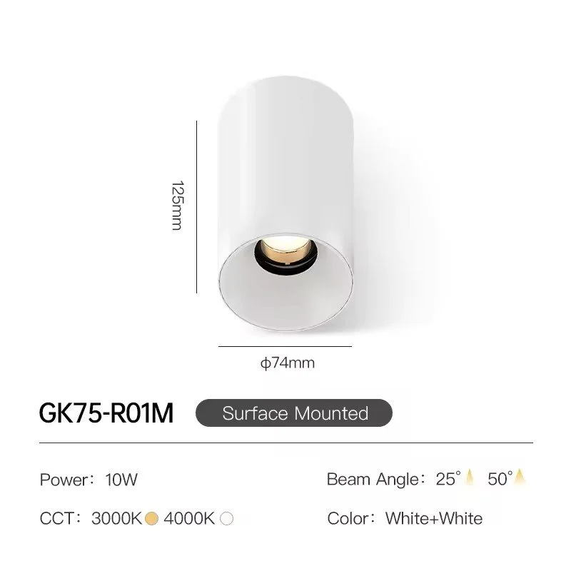 Ceiling Spotlight for Living Room