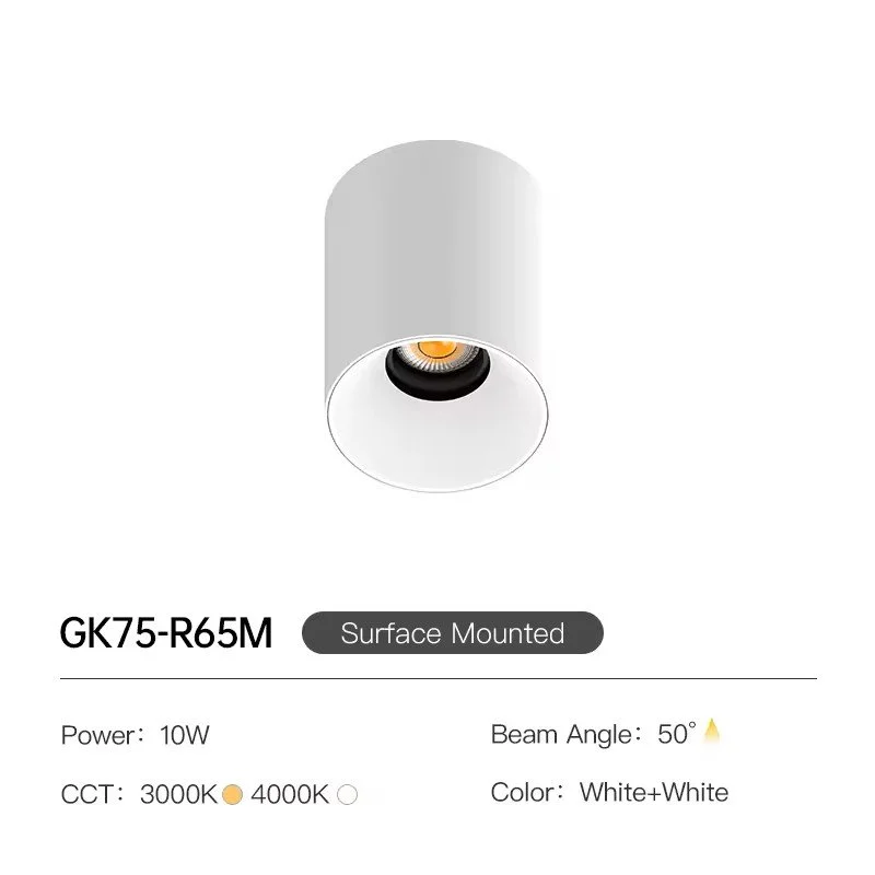 CEILING SURFACE DOWNLIGHT