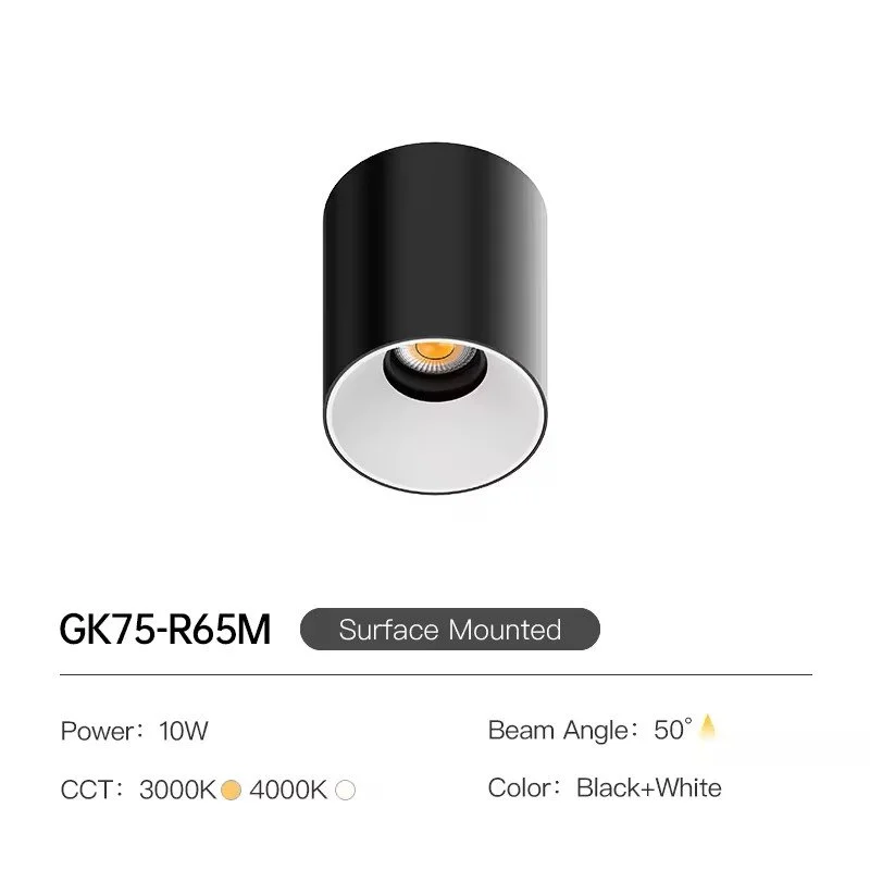 CEILING SURFACE DOWNLIGHT
