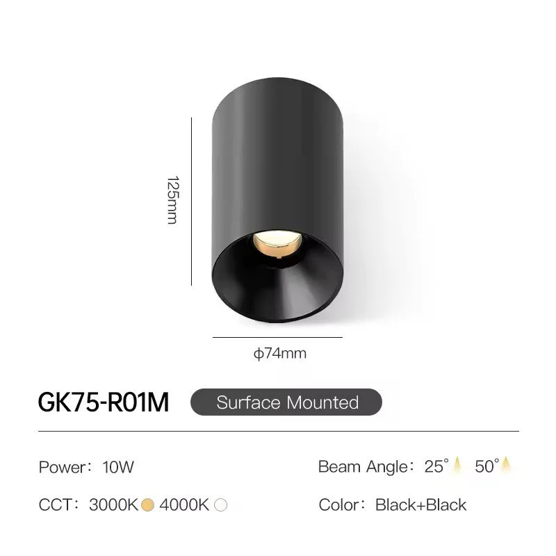 Ceiling Spotlight for Living Room