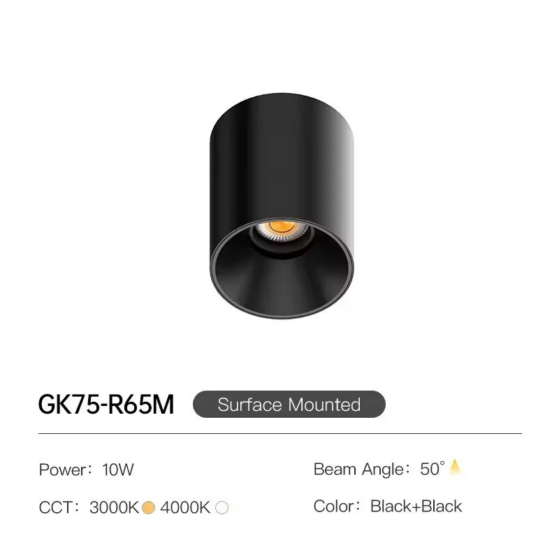 CEILING SURFACE DOWNLIGHT