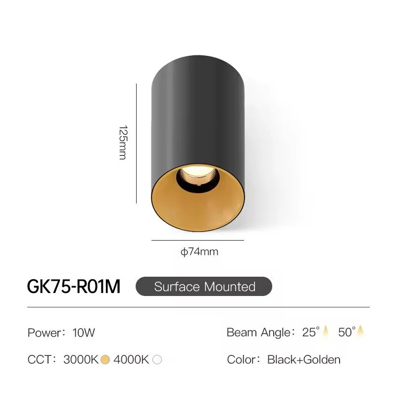 Ceiling Spotlight for Living Room