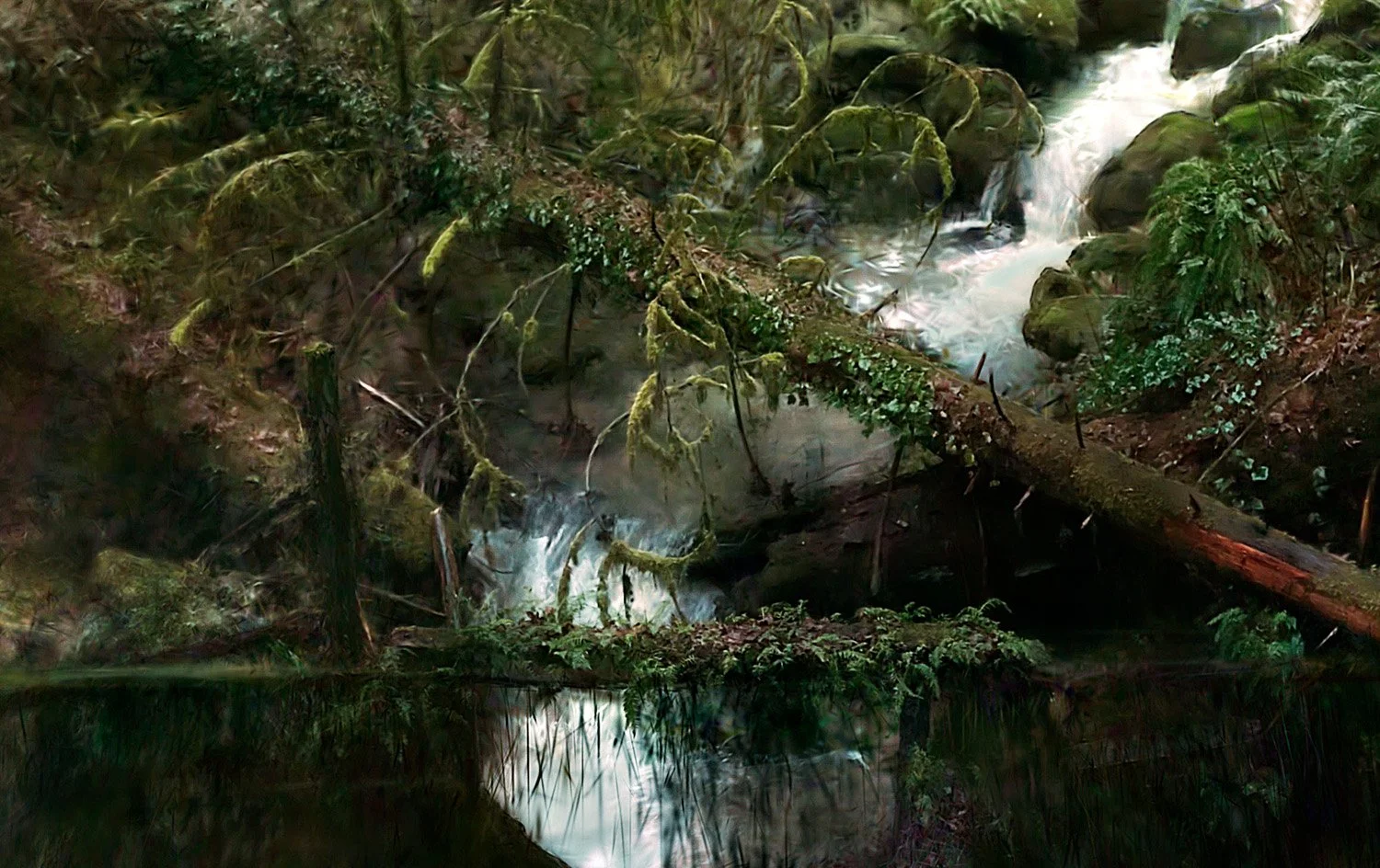 ForestPark_Detail02_1500px.jpg (Copy)