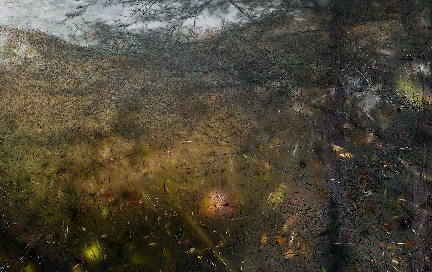 ecola02_Detail02_1500px.jpg (Copy)