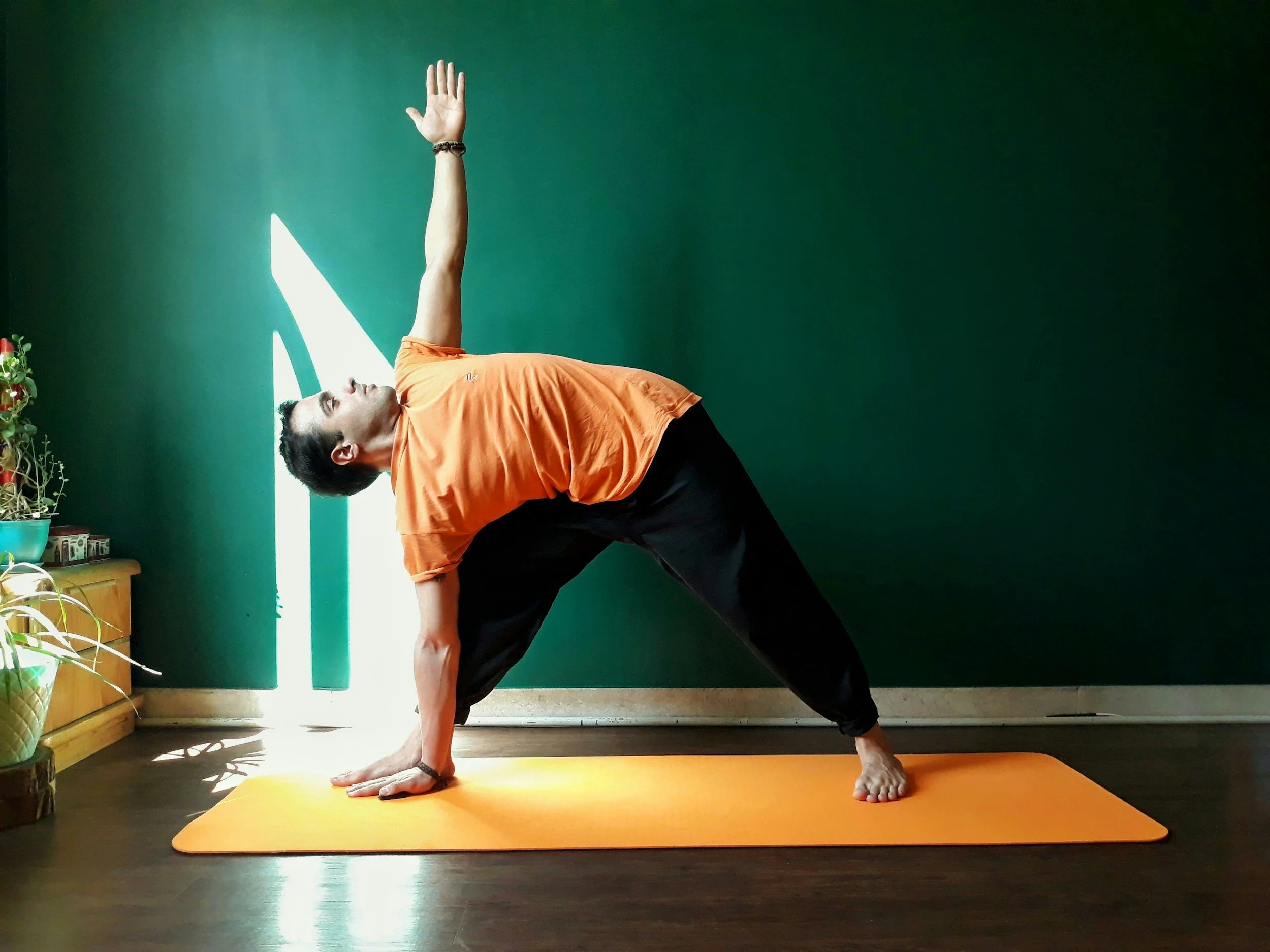 All Levels Vinyasa Flow
