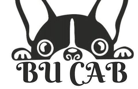 Campus Activities Board: First-Day Celebration