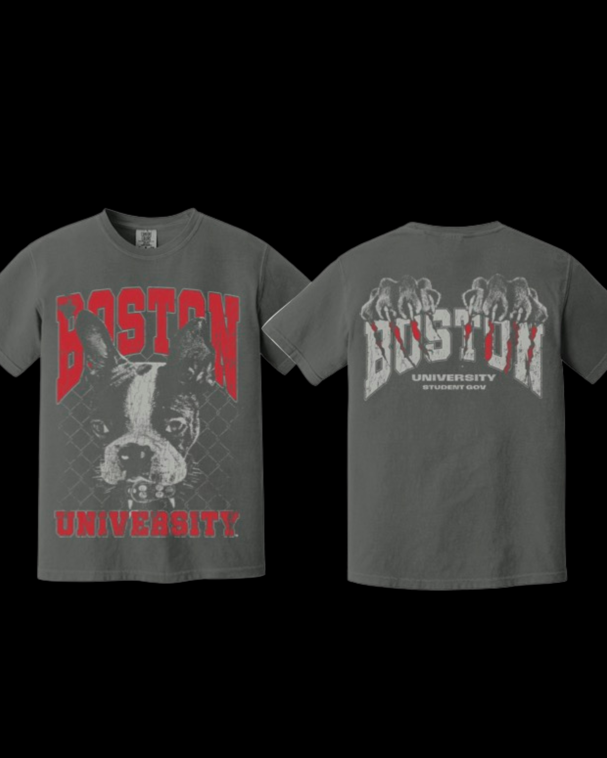 Gray T-shirt with a graphic of a dog and the text "BOSTON UNIVERSITY" in red and white, front and back views.