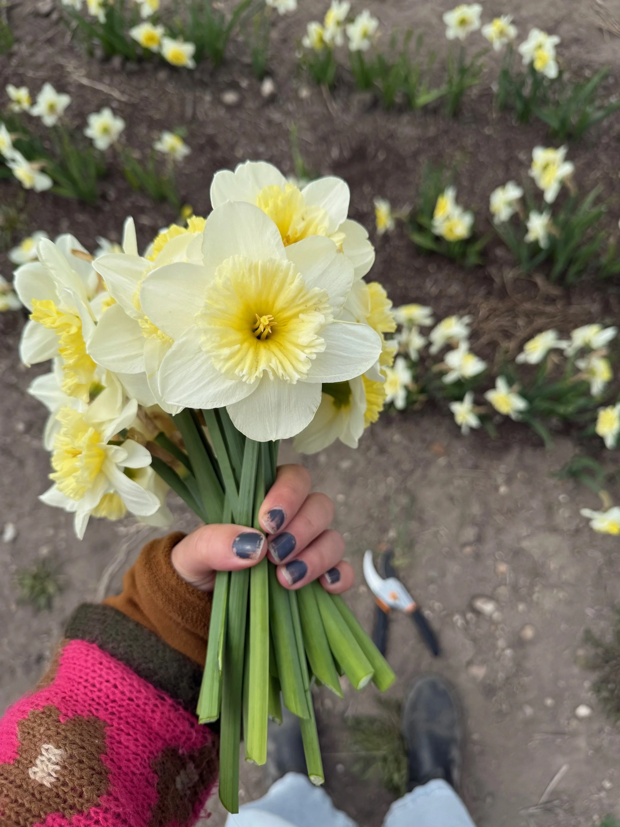 Flower Fridays