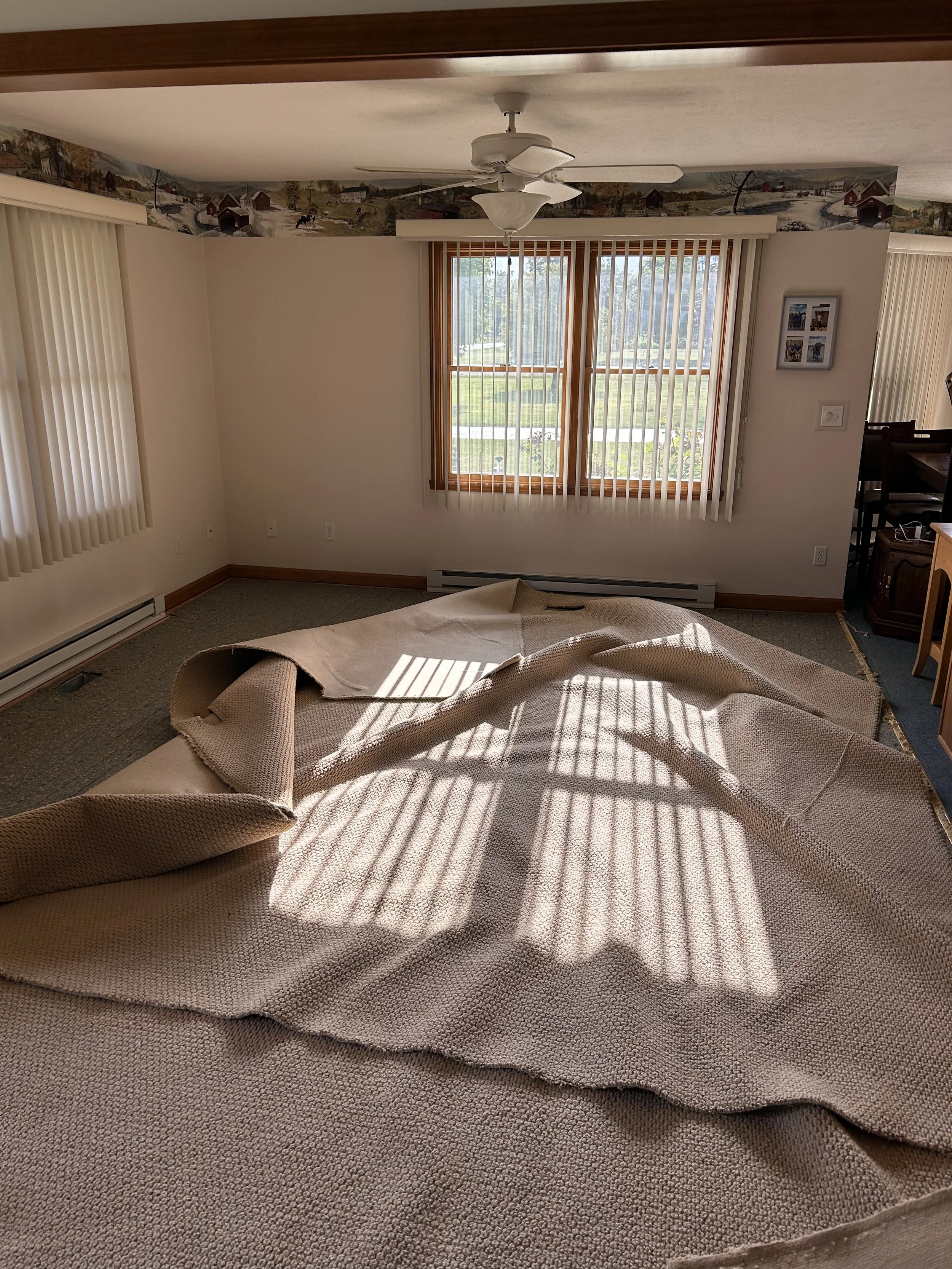Empty living room with sunlit windows, beige carpet, a ceiling fan, and a rolled-up rug or blanket on the floor.
