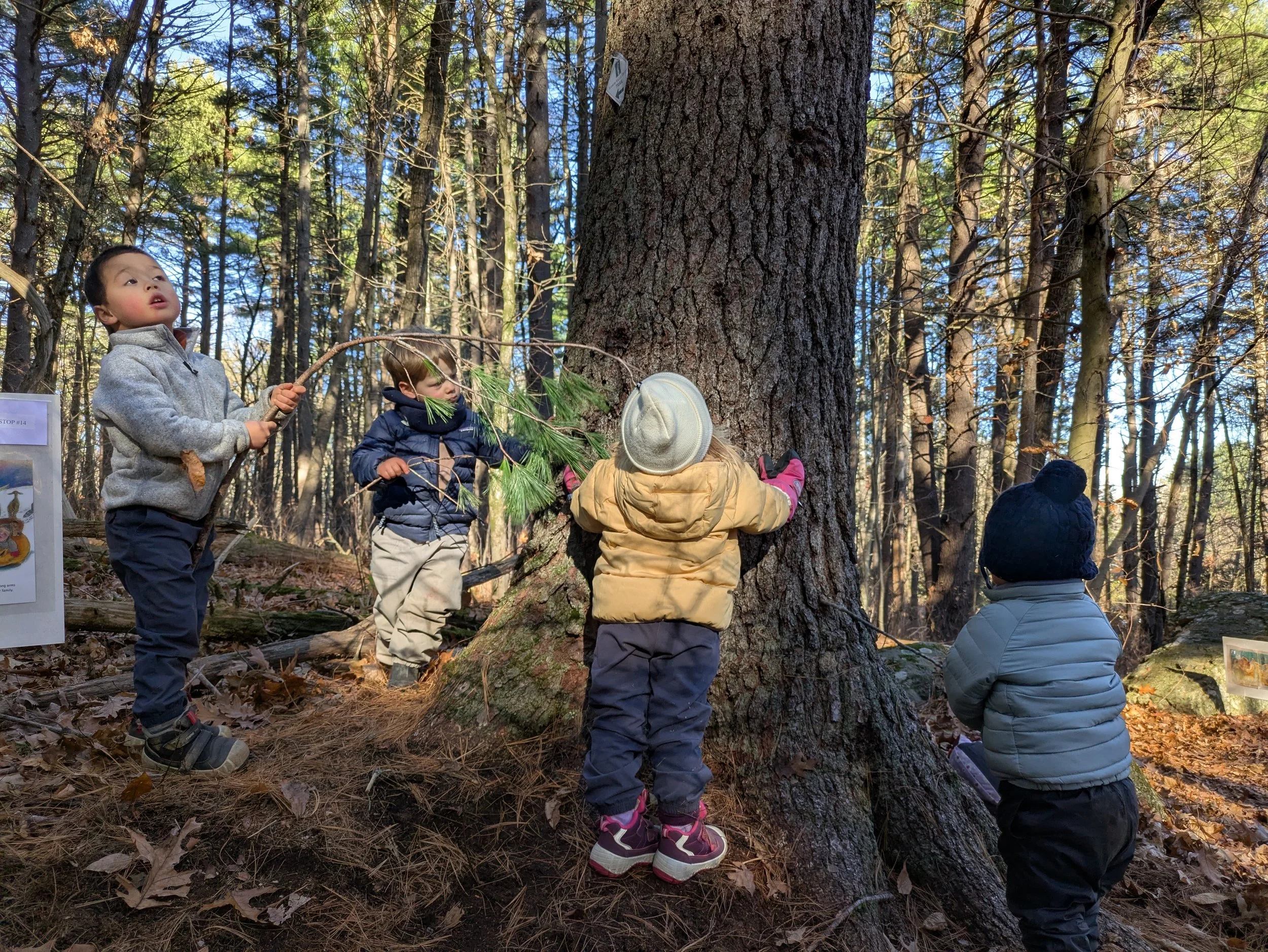 Why Nature and Play-Based Learning?&nbsp;