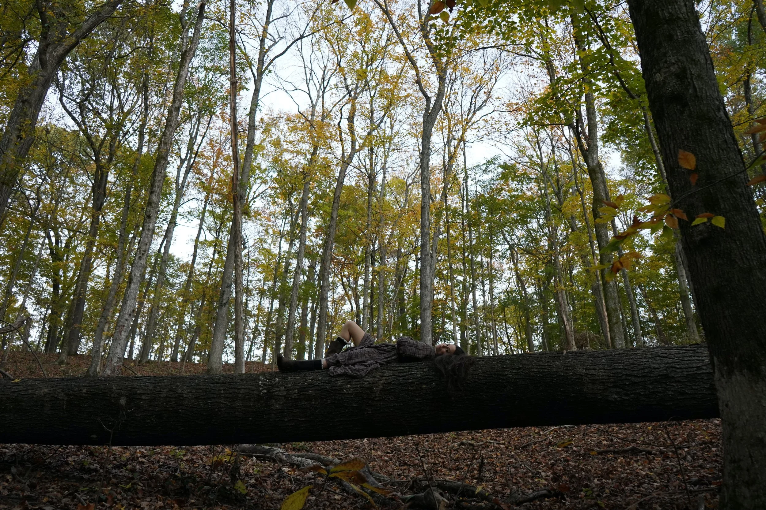 Ashley Sofia_Log_01.jpeg