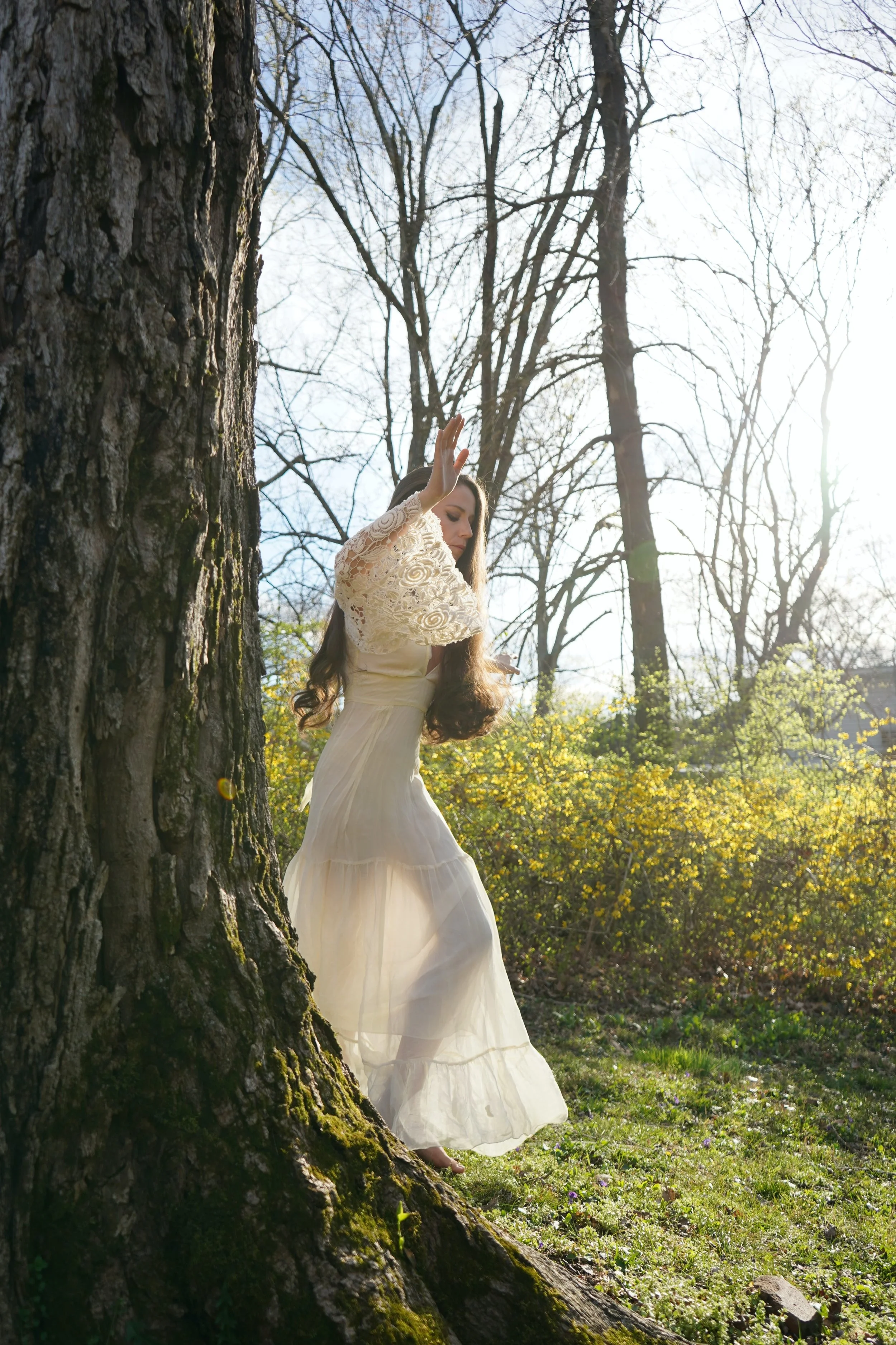 Ashley Sofia_Tree_01.JPG