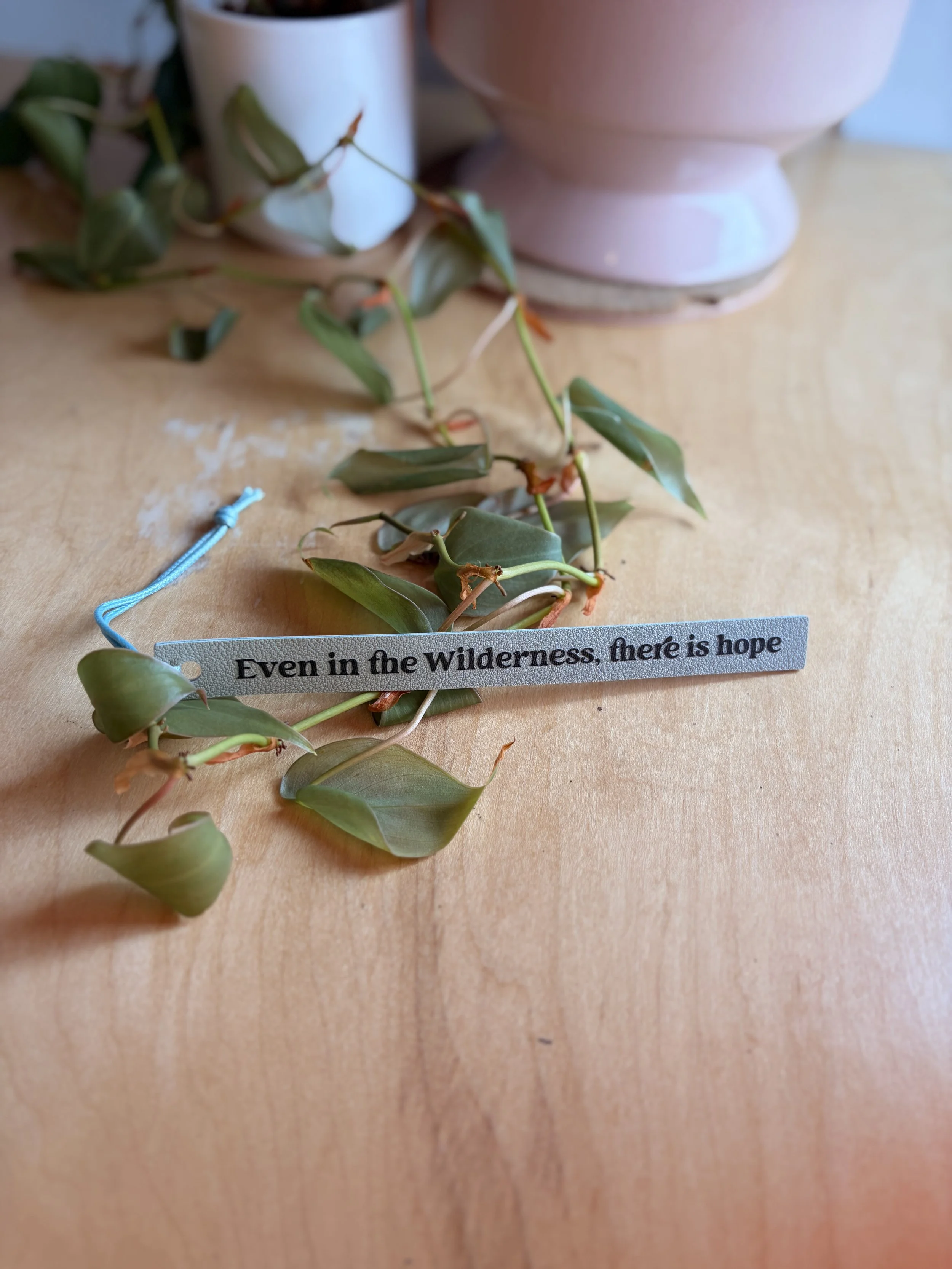 blue green.jpg