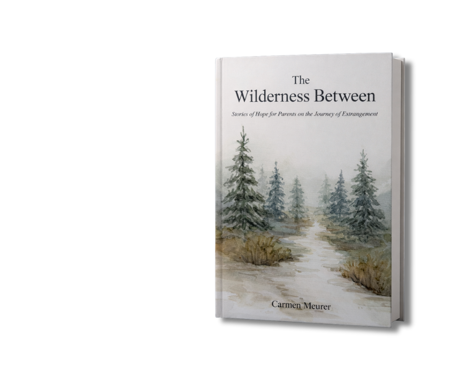 The Wilderness Between book - story of estrangement