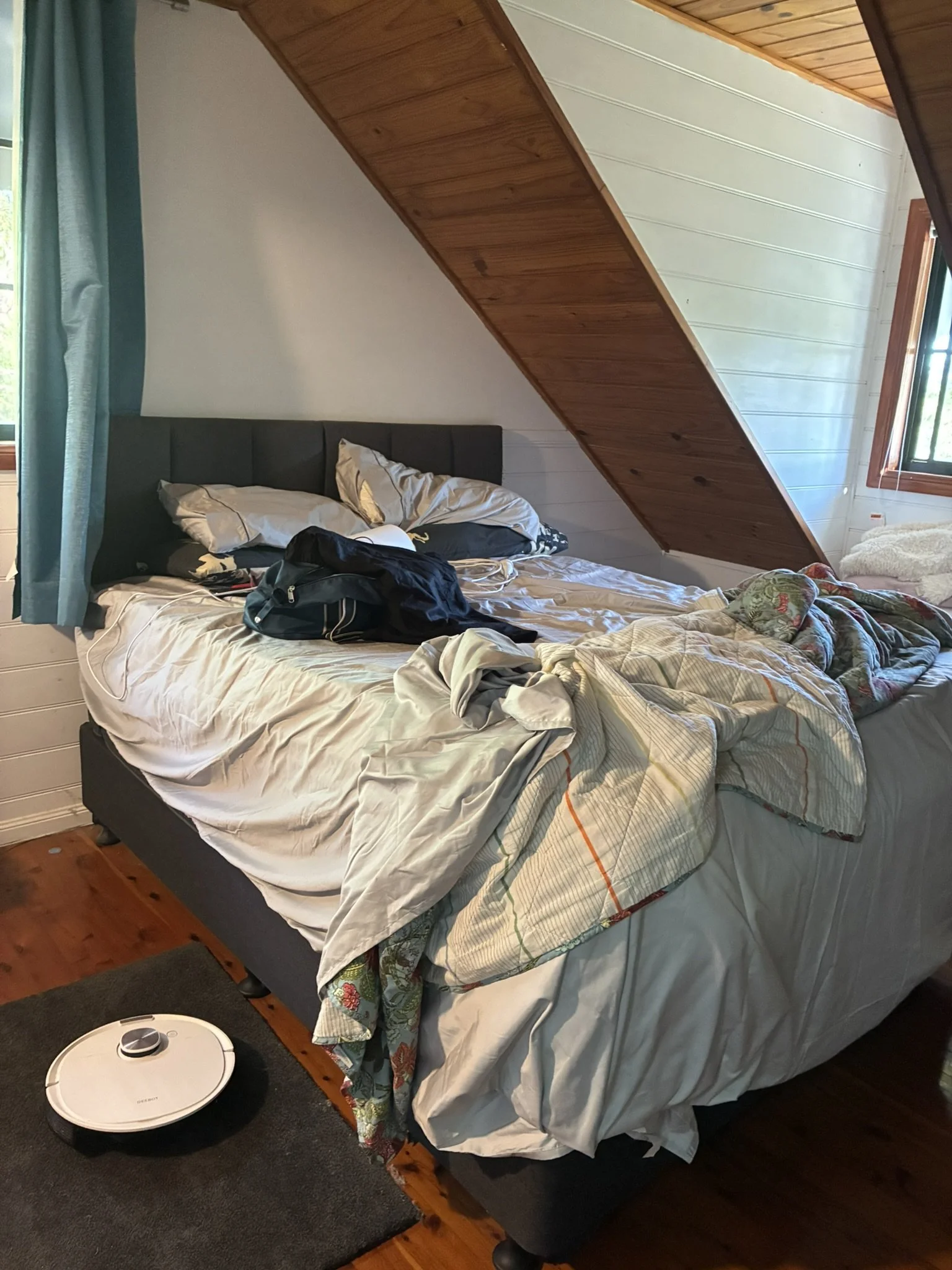 IMG_2497.JPEG