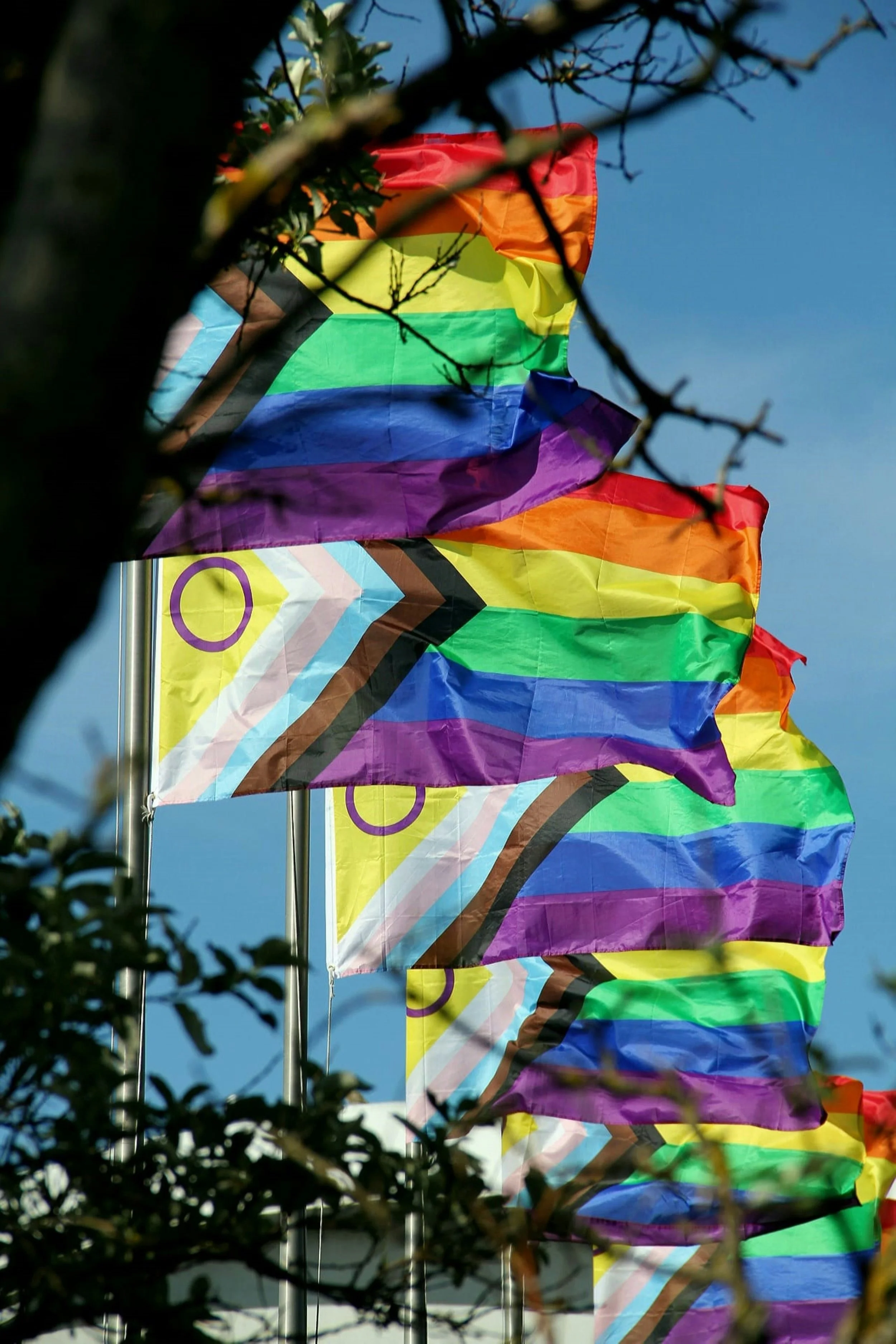 Regenboog café