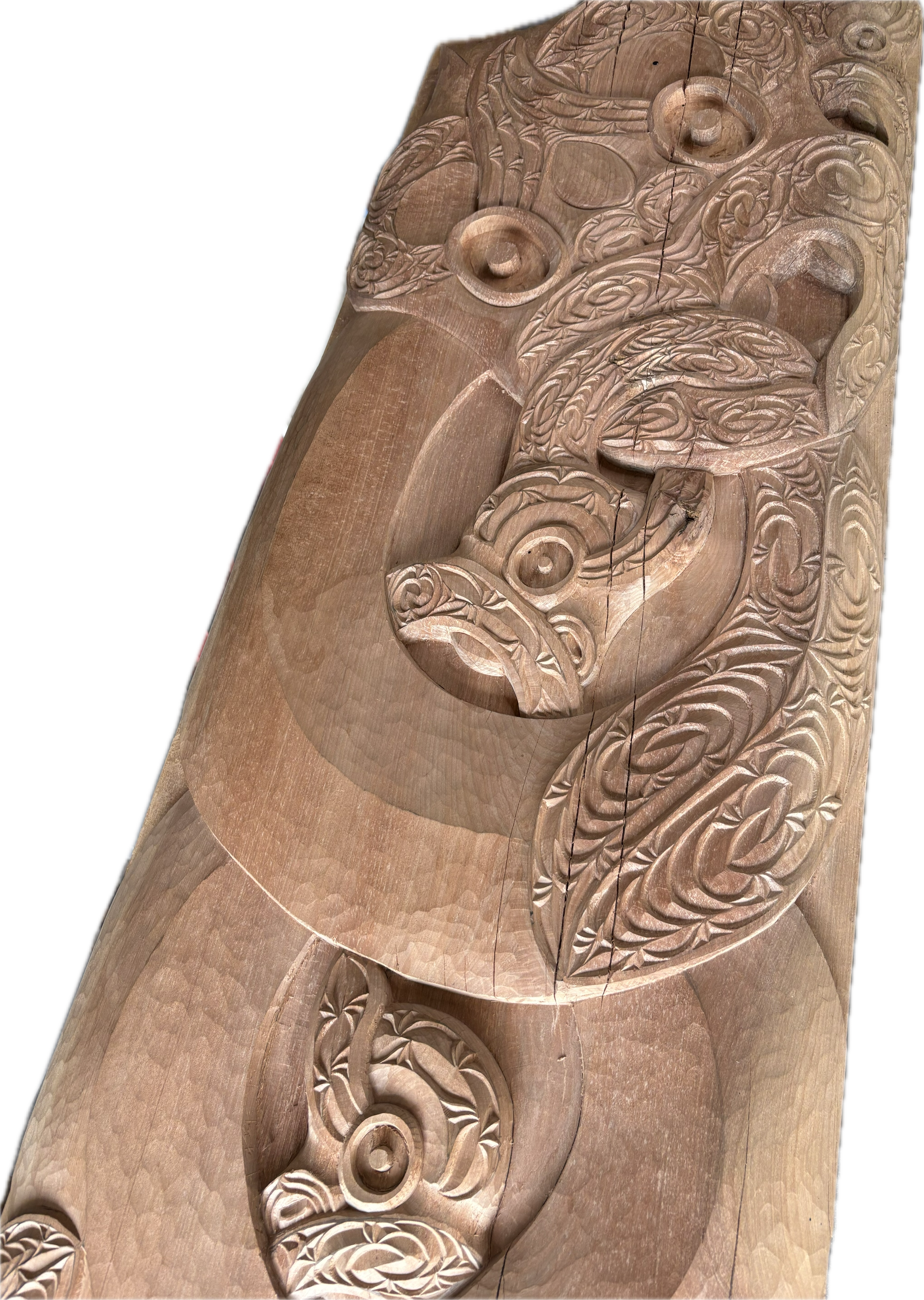 Otupaiia-reserve-pouwhenua-reia-IMG_7313.PNG