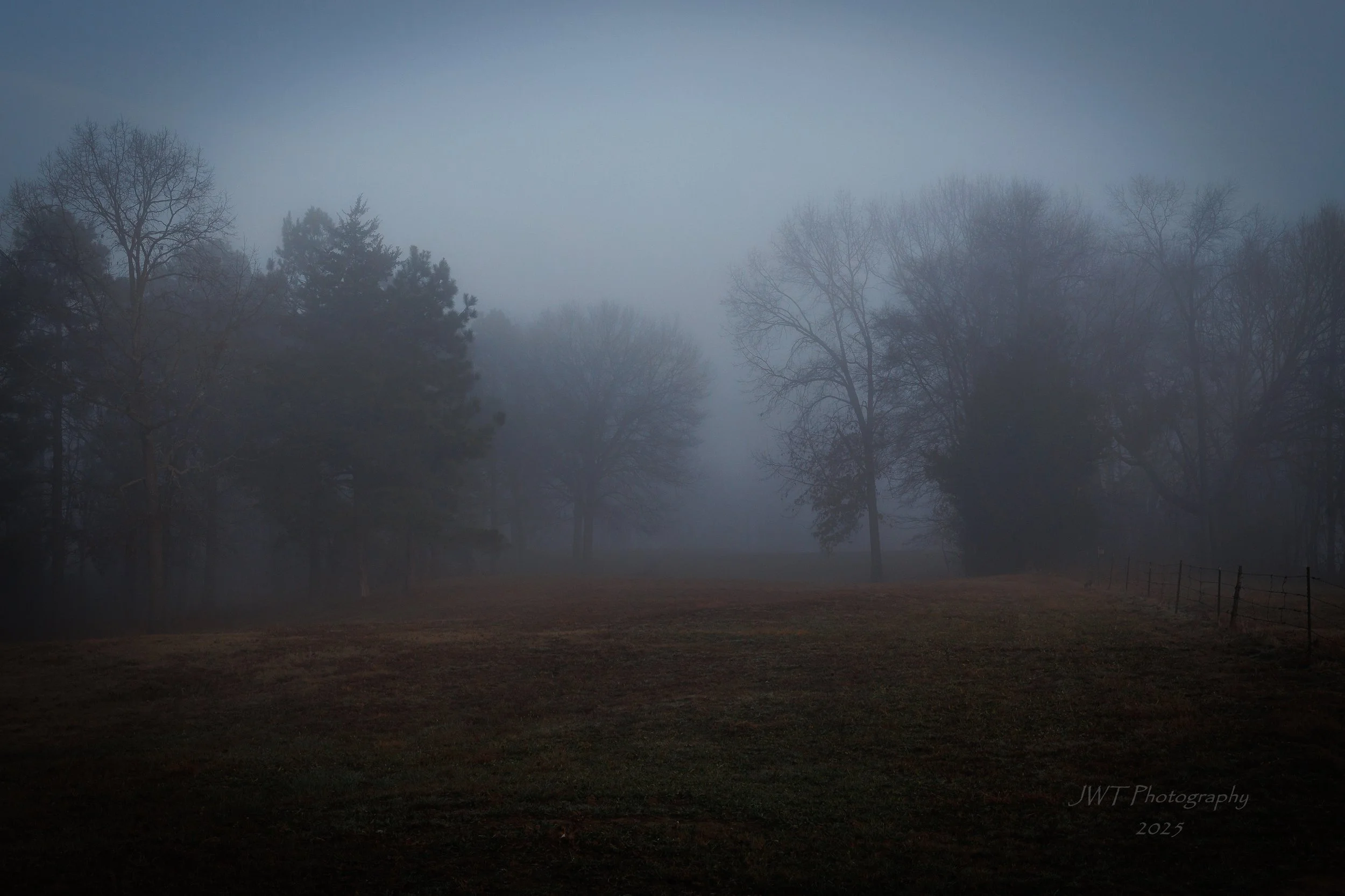 A foggy landscape with bare trees and a grassy field, faintly visible through the haze.