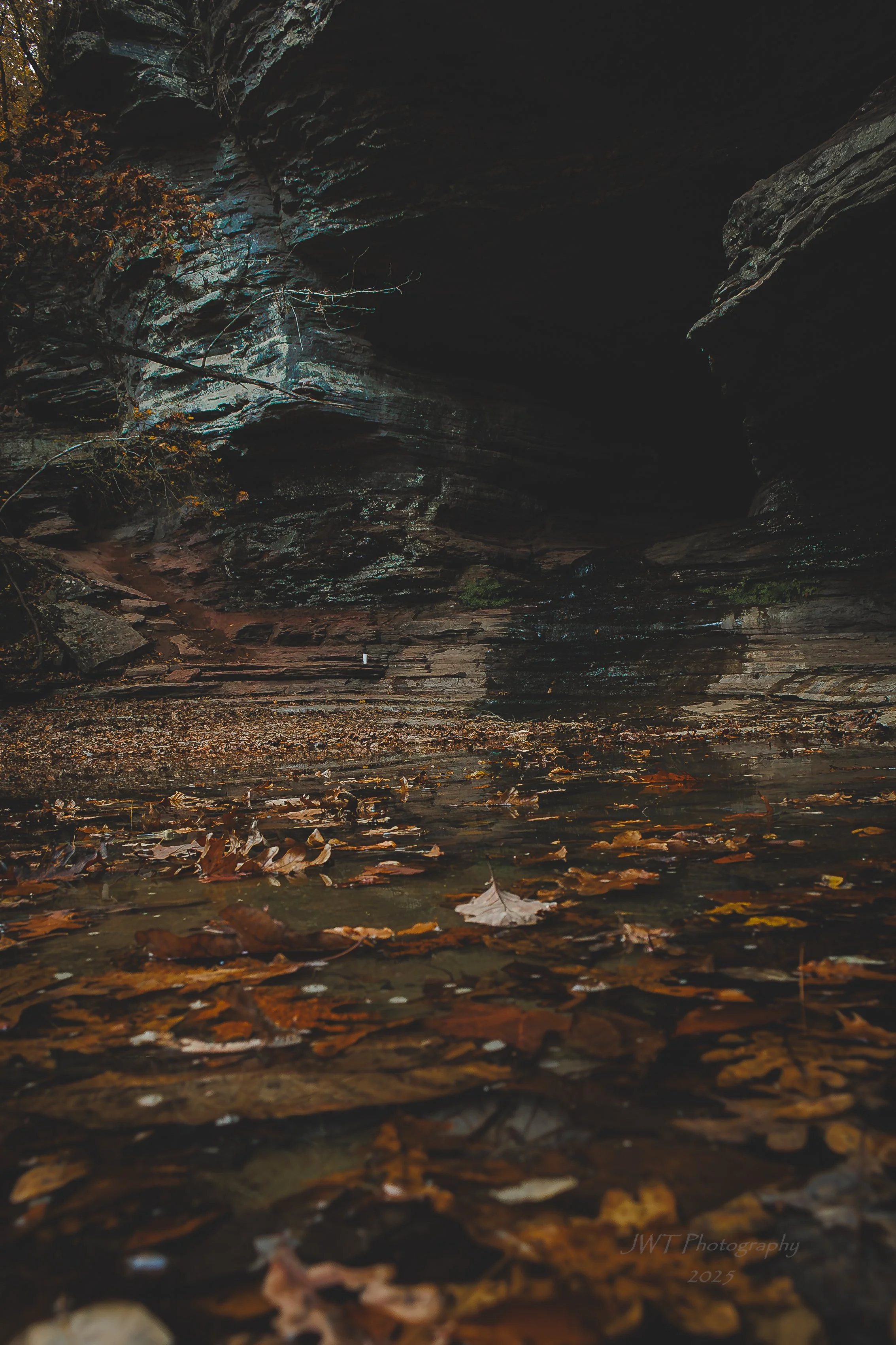A dark, rocky gorge with a small stream of water flowing over fallen autumn leaves.