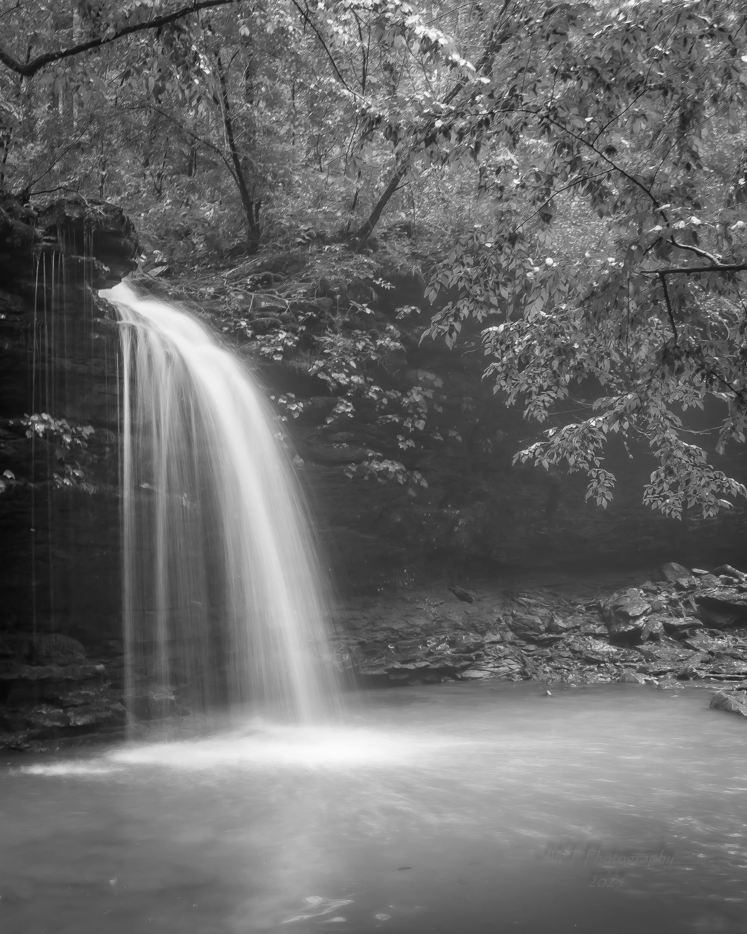 A black and white photo of a small waterfall surrounded by trees and rocks.