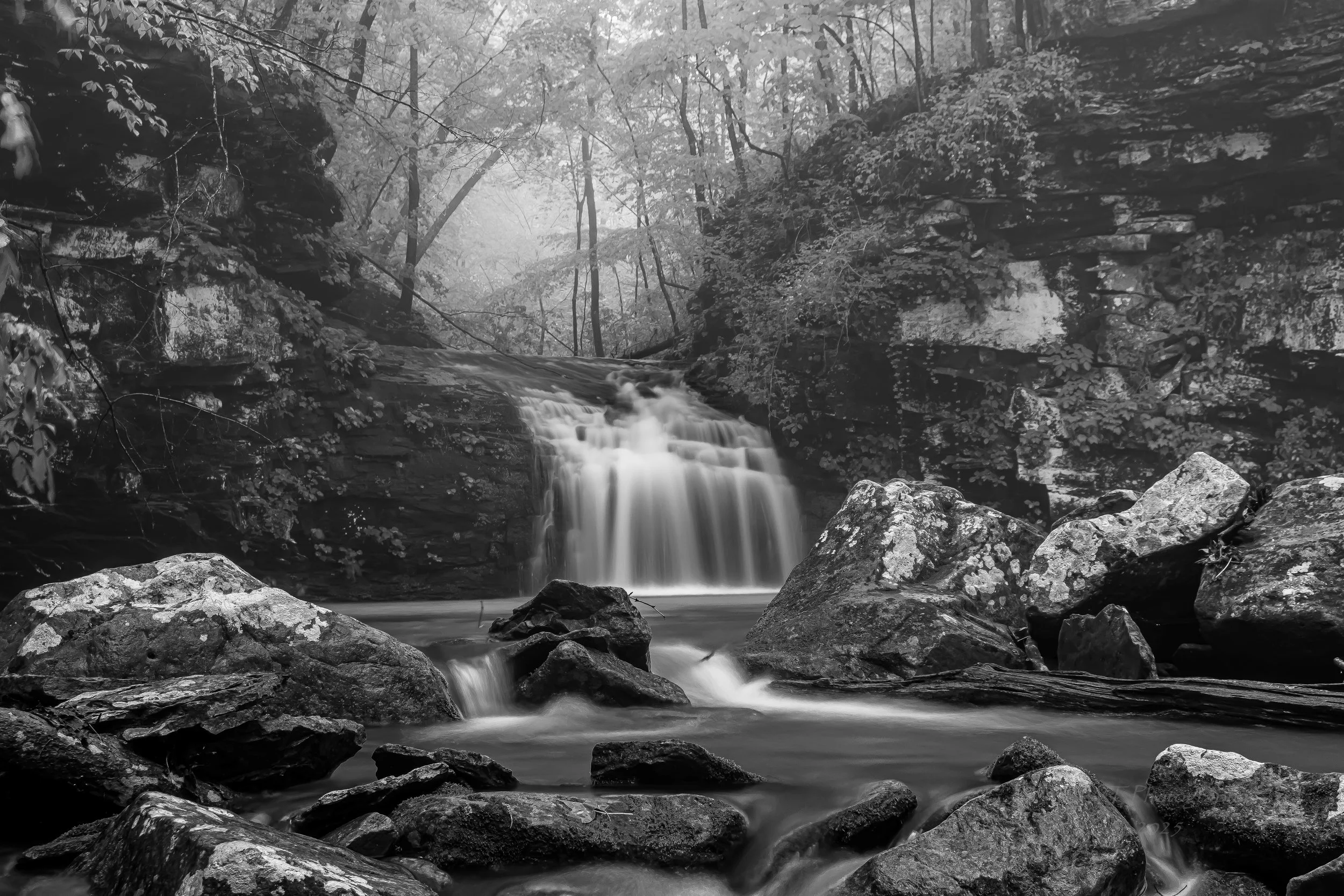 Black and white photo of a small waterfall flowing over rocks in a wooded forest.
