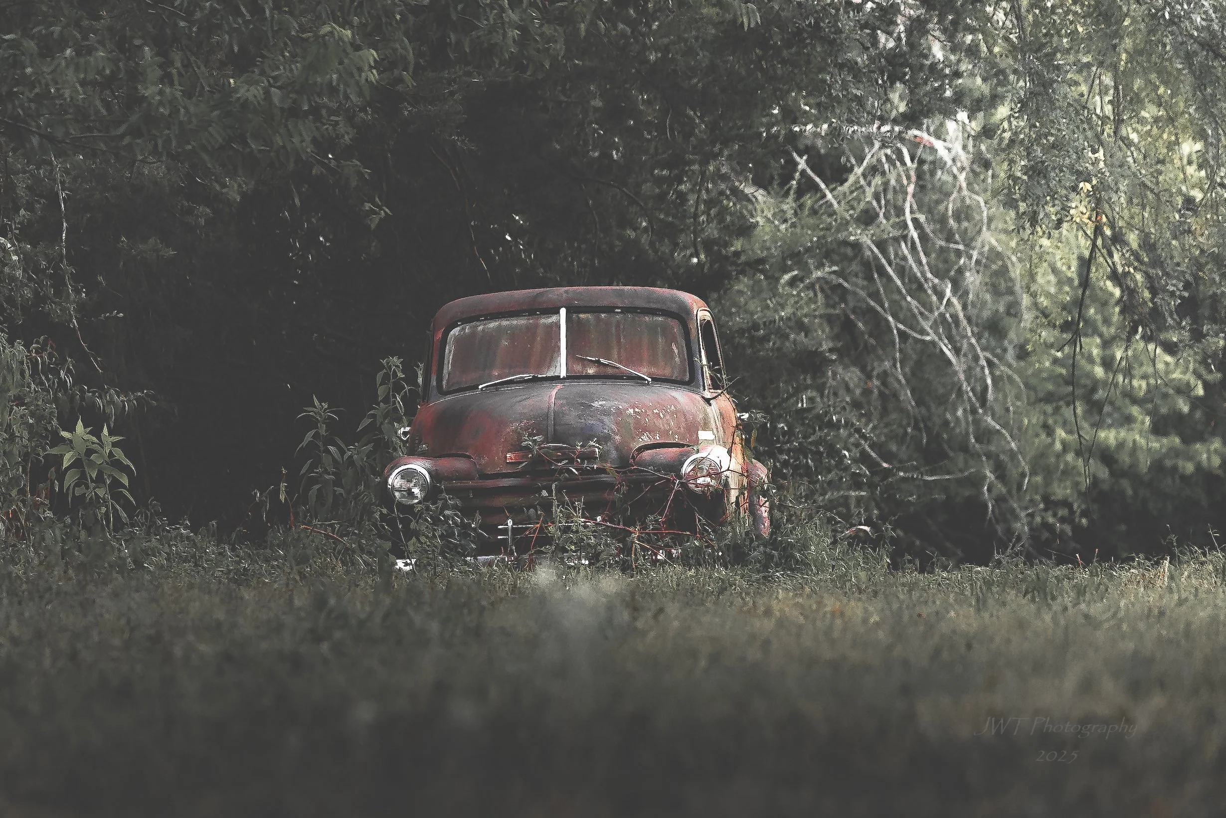 An old rusty red car, overgrown with plants, is parked in a grassy area near a dense forest.