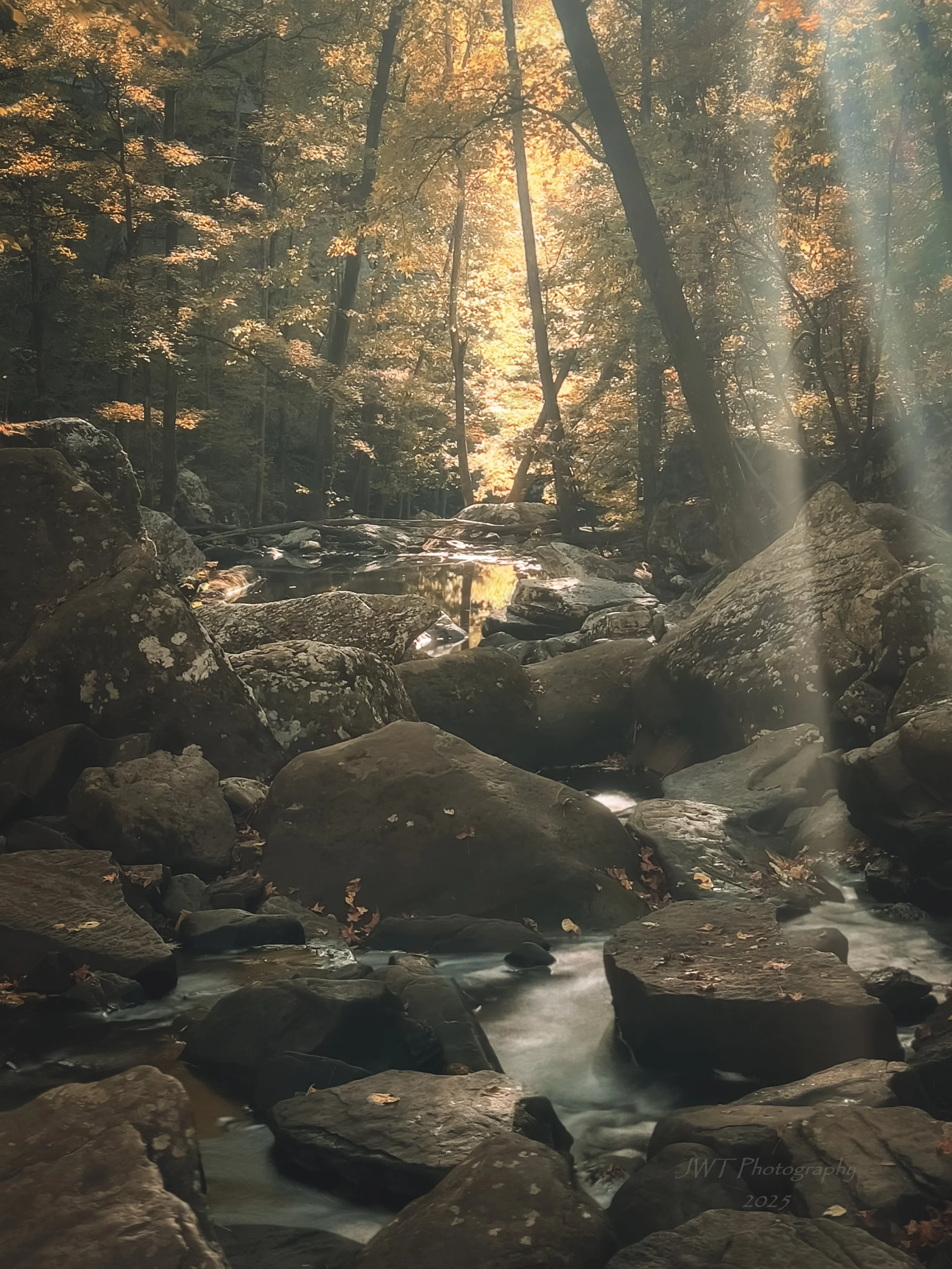 A peaceful forest scene with sunlight filtering through autumn-colored trees onto a rocky stream.