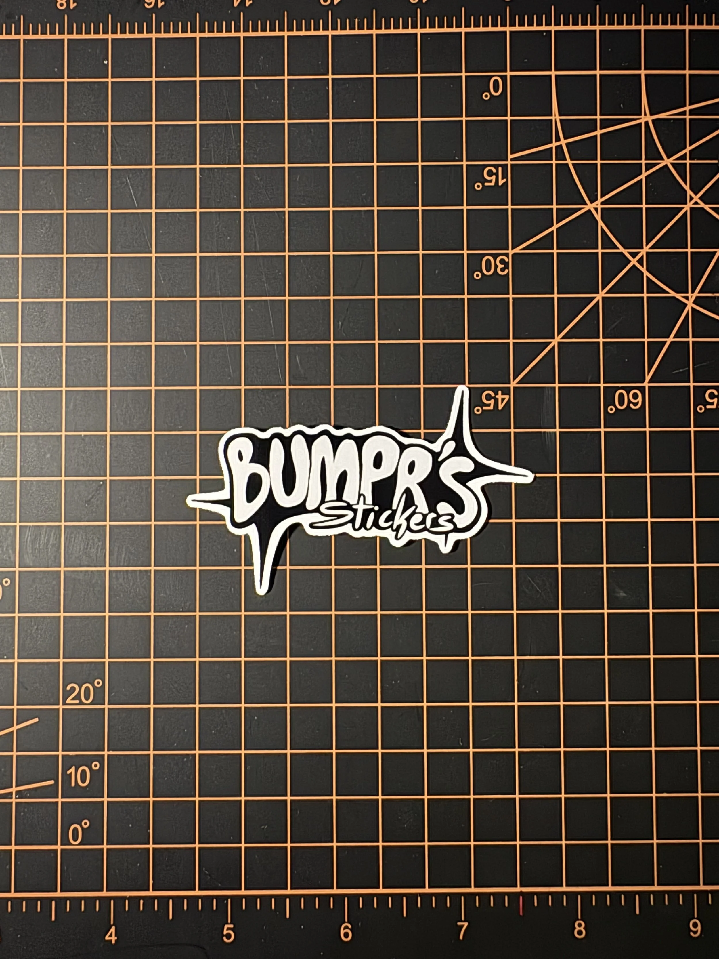 bumpr sticker sticker.jpeg