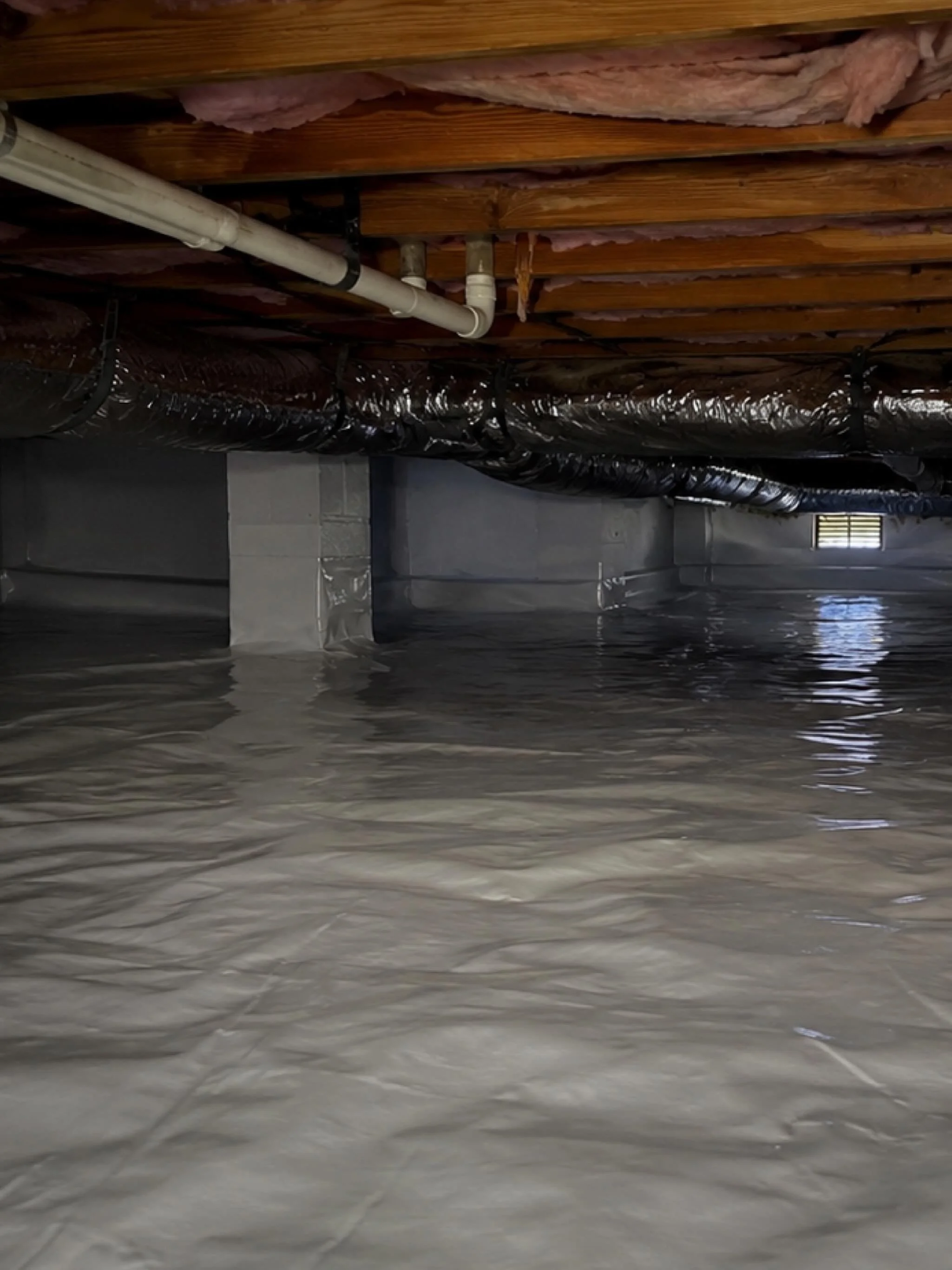 Not the most glamorous part of a home, but often one of the most telling.

A crawl space can reveal a lot about how a home has been maintained over the years. Our inspectors are looking at the vapor barrier condition (if one has been installed), insu