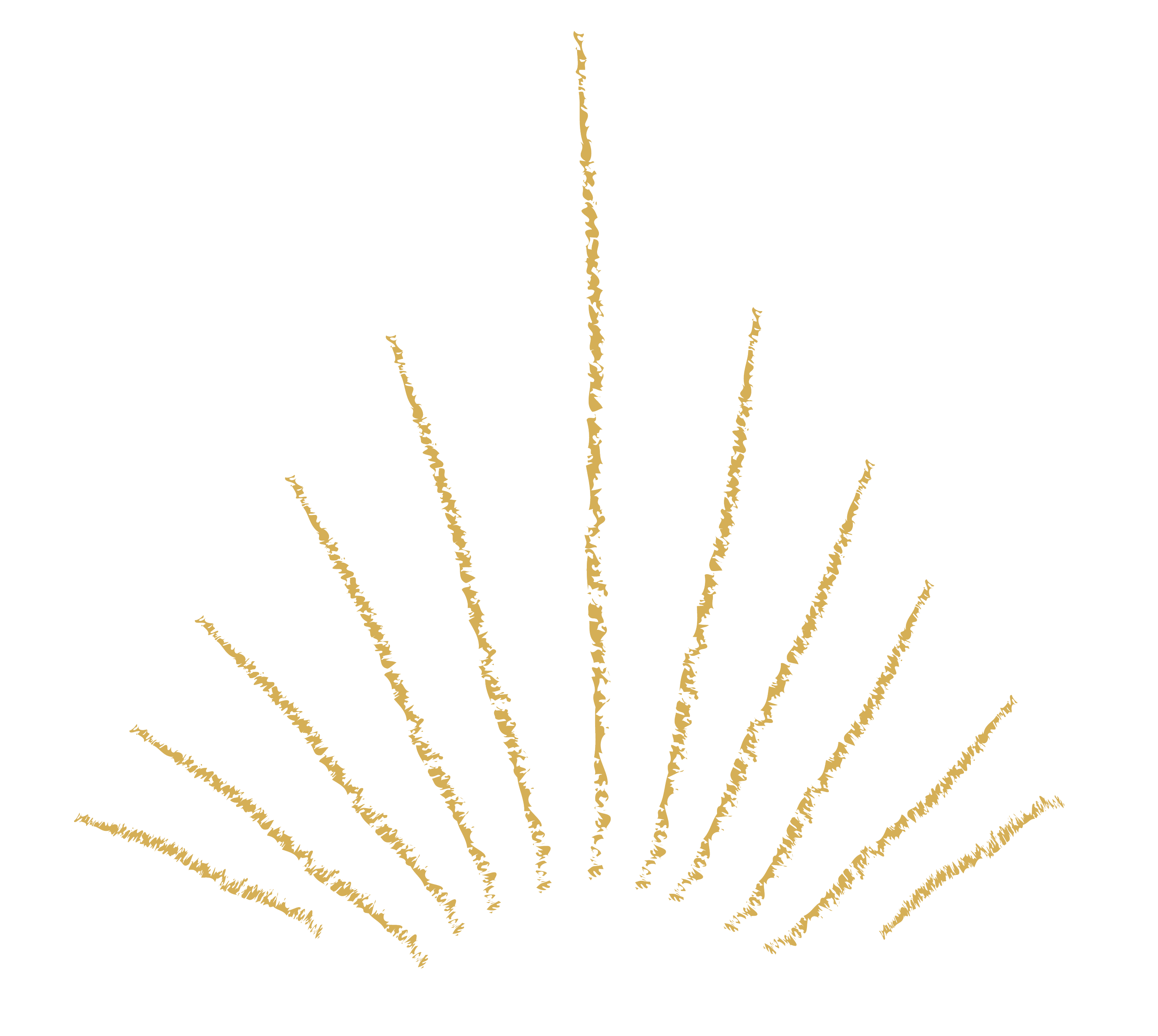 Golden fireworks explosion against a black night sky.