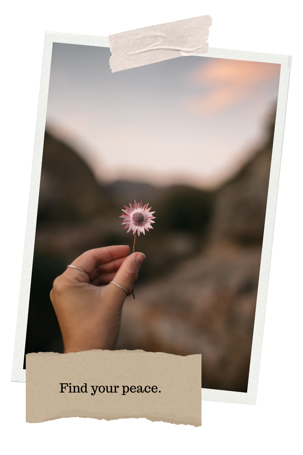 A person holds a pink flower with a blurred outdoor background at sunset, with the caption 'Find your peace.'