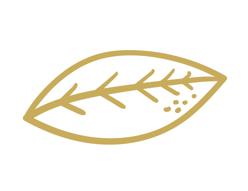 Minimalist gold outline of a leaf with a branching vein pattern.