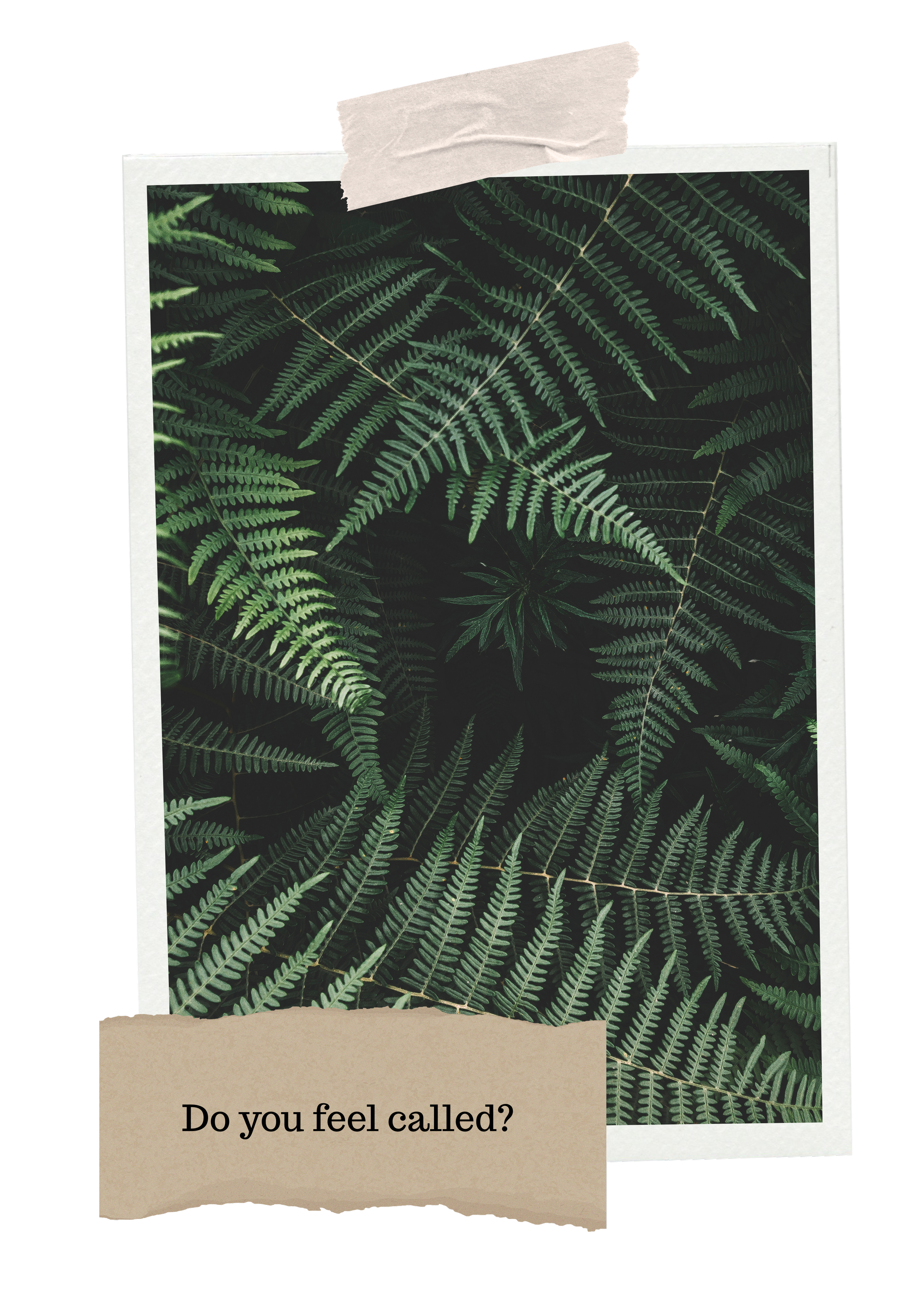 A printed card displays a pattern of green fern leaves on a black background with a torn piece of beige paper at the bottom asking, "Do you feel called?"