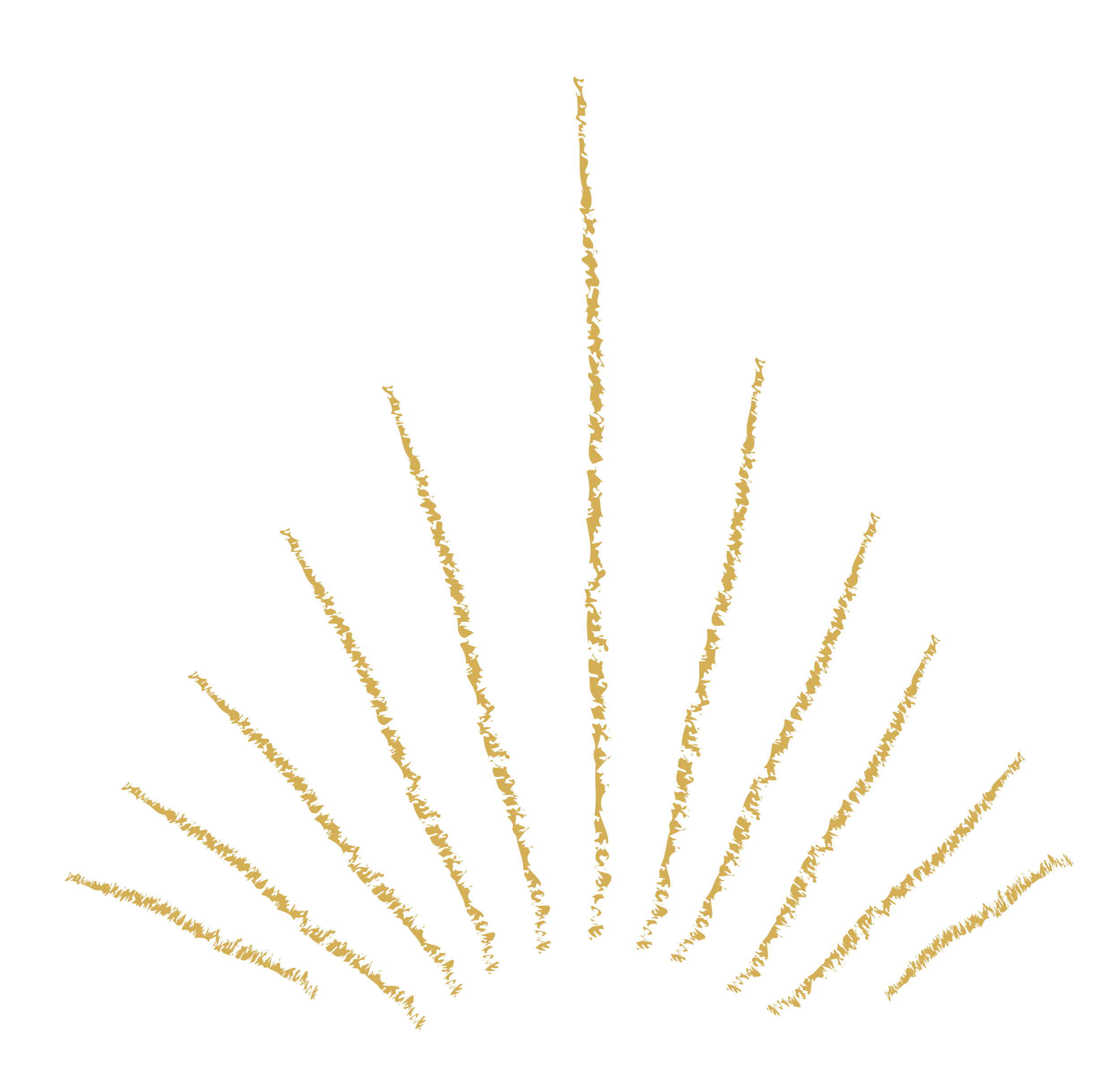 Gold fireworks display against black night sky.