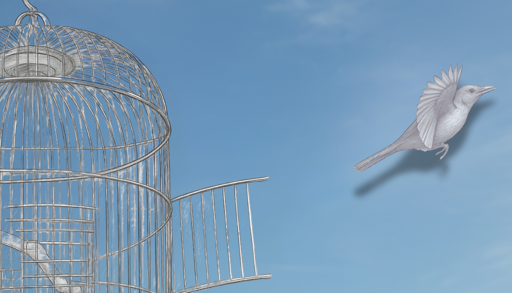 Cages vs. Cadence: The Reality of Routine