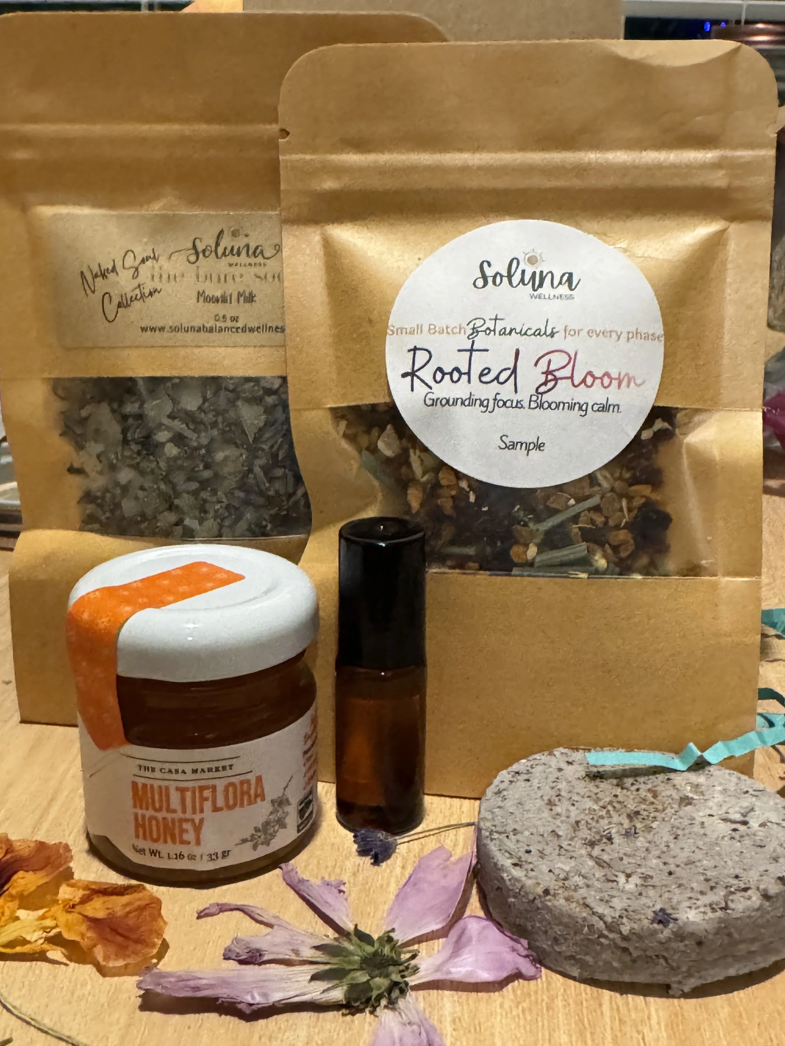 Rooted Winter | A Seasonal Experience