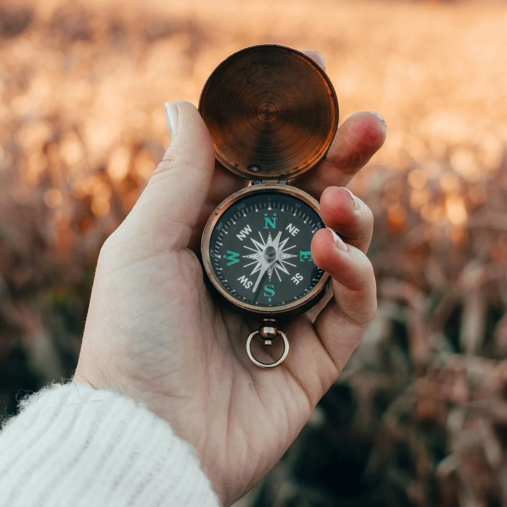 Woman's hand holding a compass