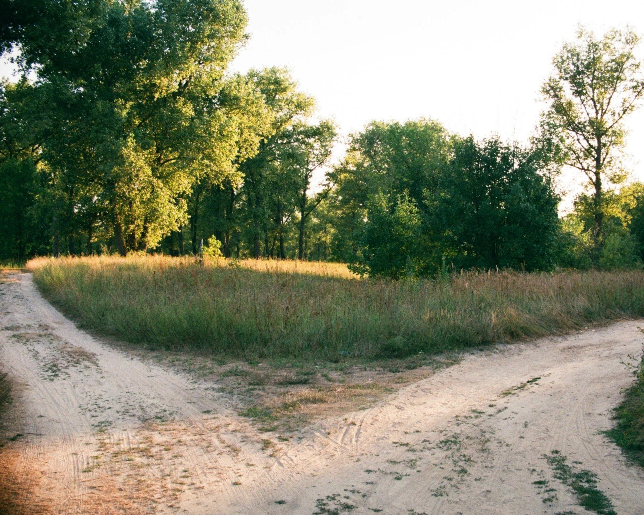 dirt path fork in road