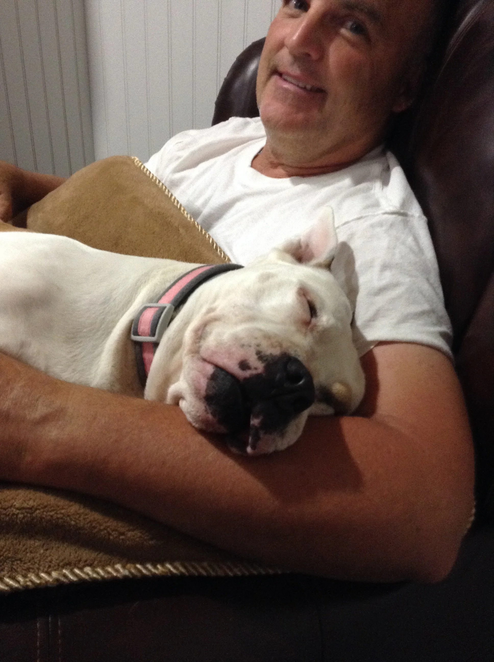 Owner of Parus Pen relaxing on a dark brown leather chair with a white dog resting on his chest. The dog appears to be sleeping peacefully, with its eyes closed and mouth slightly open.