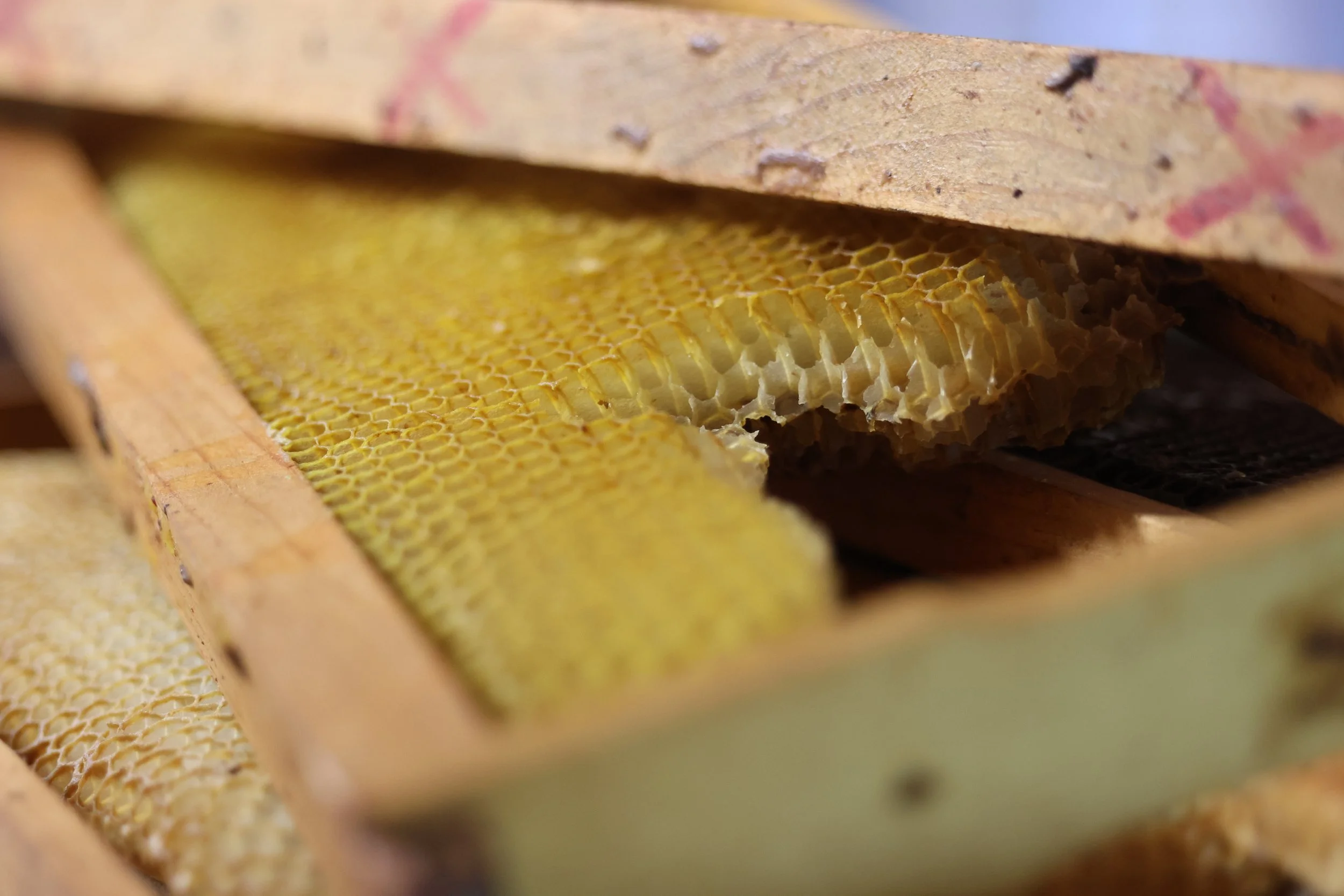 Honey combs sit stacked on the ground in Danielsville, Georgia, on April 14, 2025.